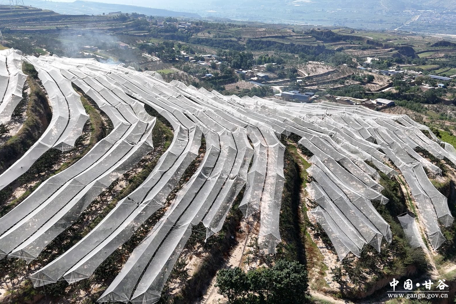 1755074631729044532.jpg 1755074631729044532.jpg