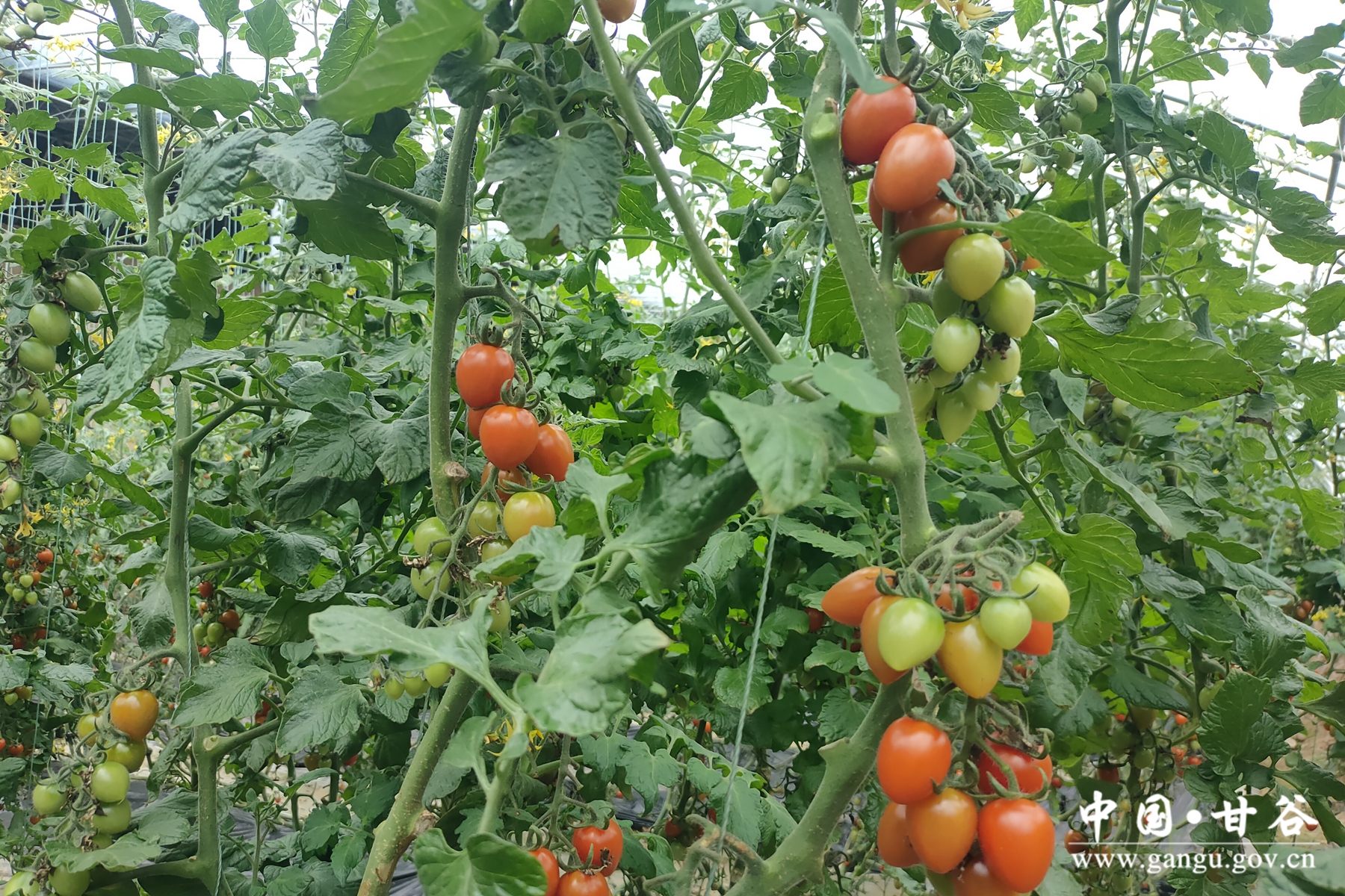 微信图片_20240305100651 微信图片_20240305100651