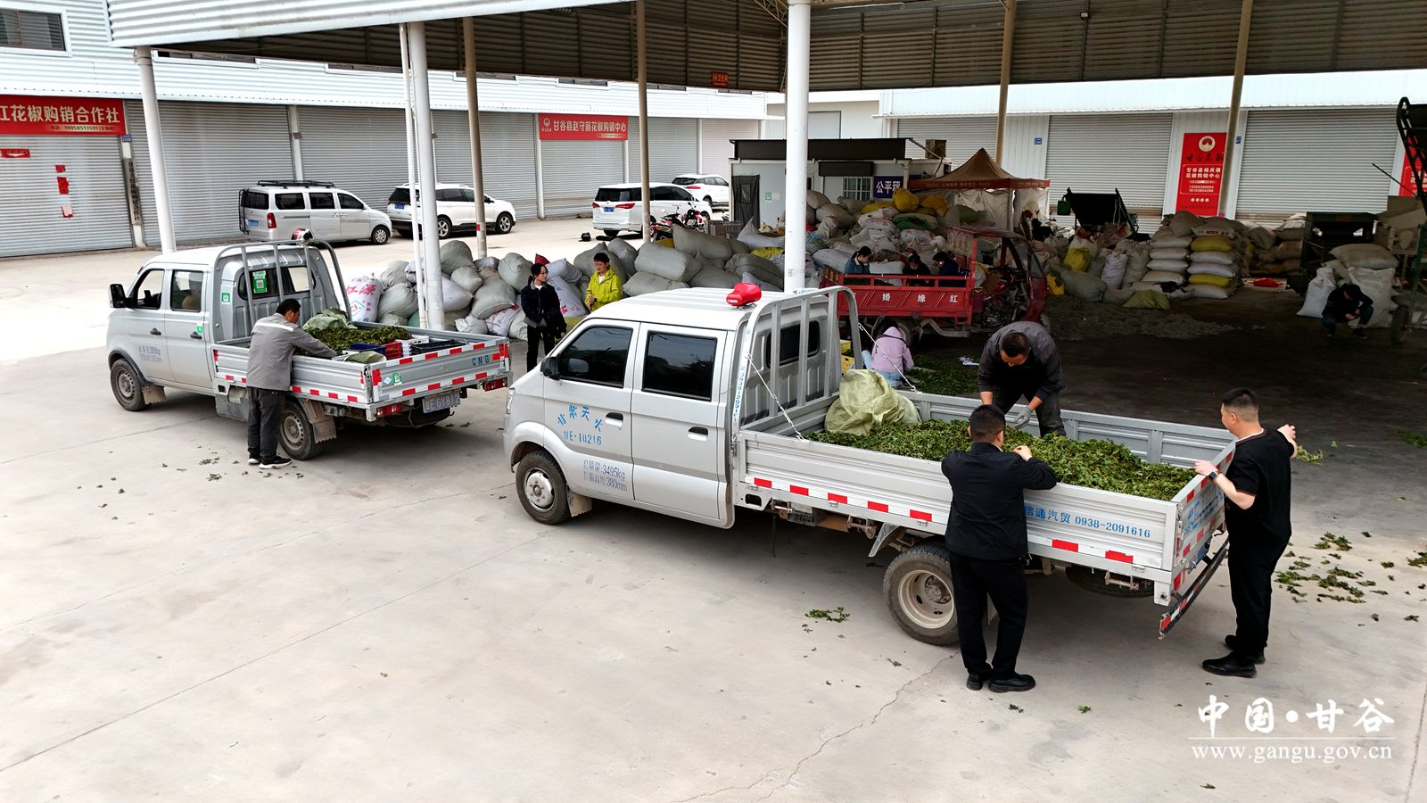 DJI_20251112141537_0429_D_副本 DJI_20251112141537_0429_D_副本