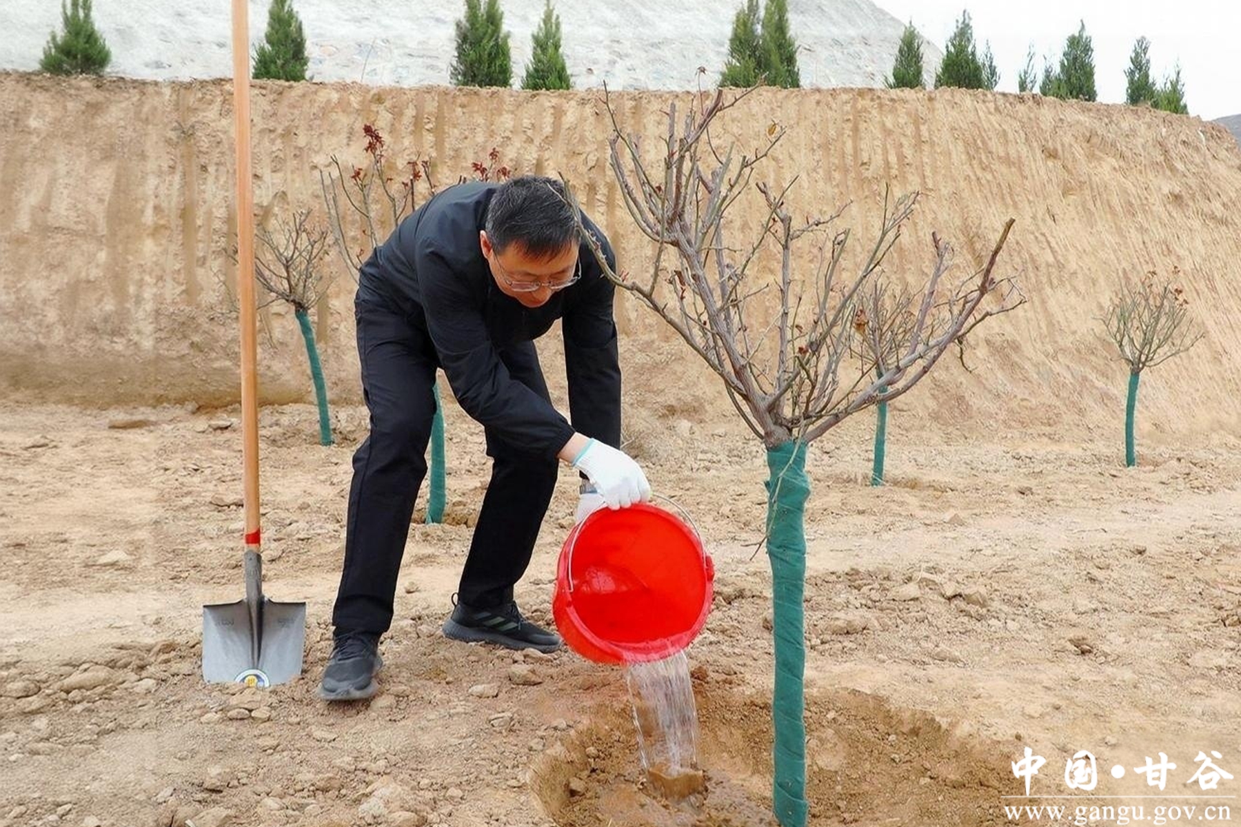 微信图片_20260312123241_1106_91 微信图片_20260312123241_1106_91