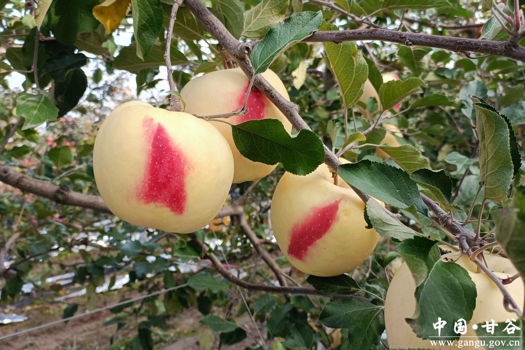 42721a73191c458fb081794e95b4ff31 42721a73191c458fb081794e95b4ff31