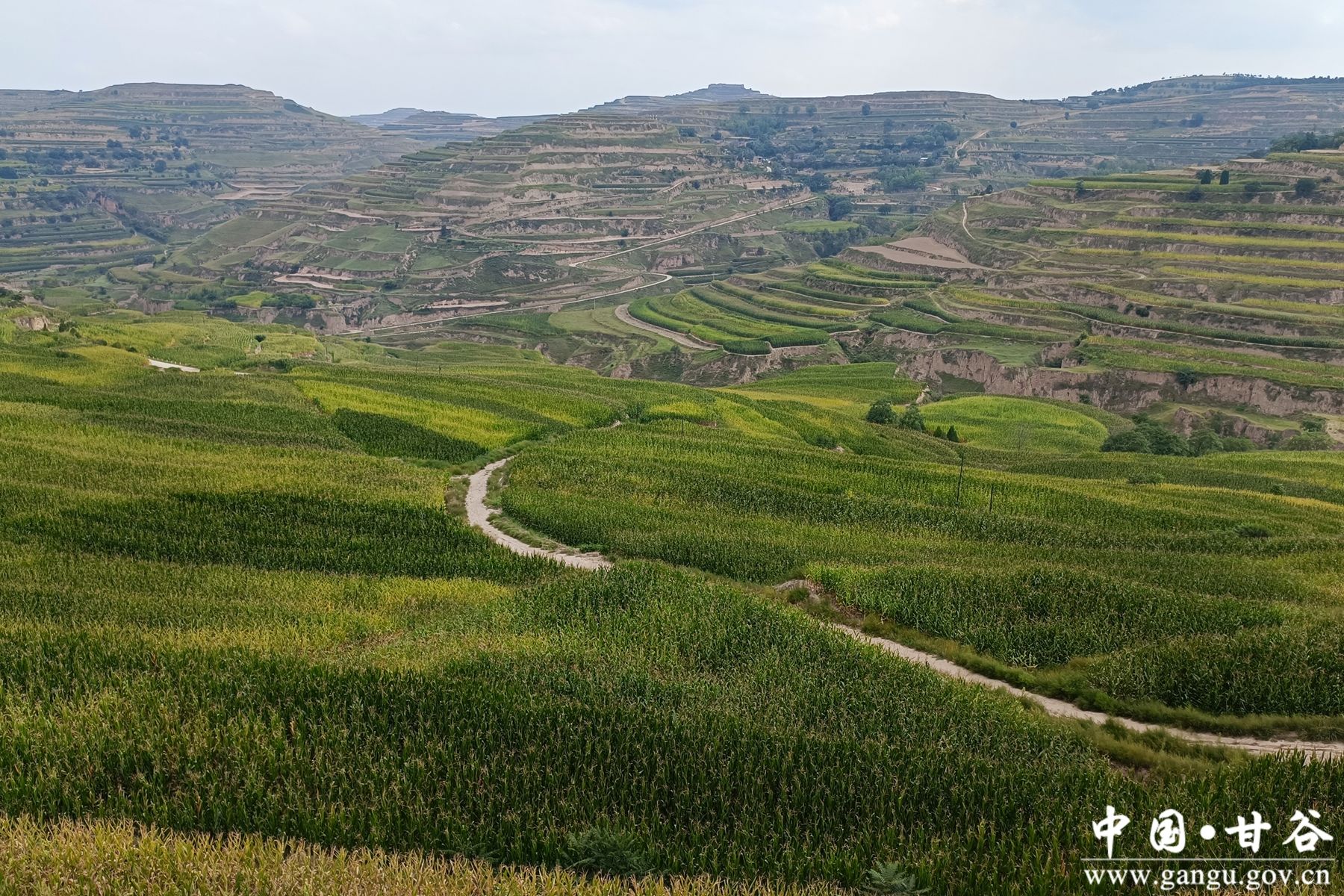 微信图片_20240823153634 微信图片_20240823153634