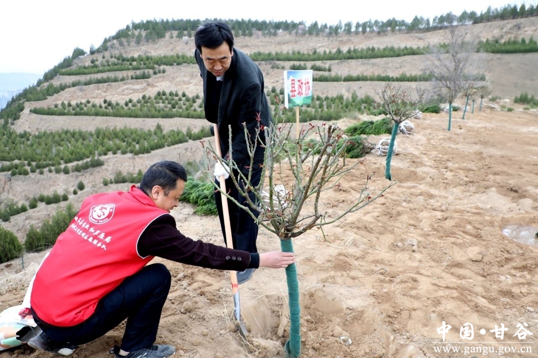 微信图片_20260312123713_1113_91 微信图片_20260312123713_1113_91