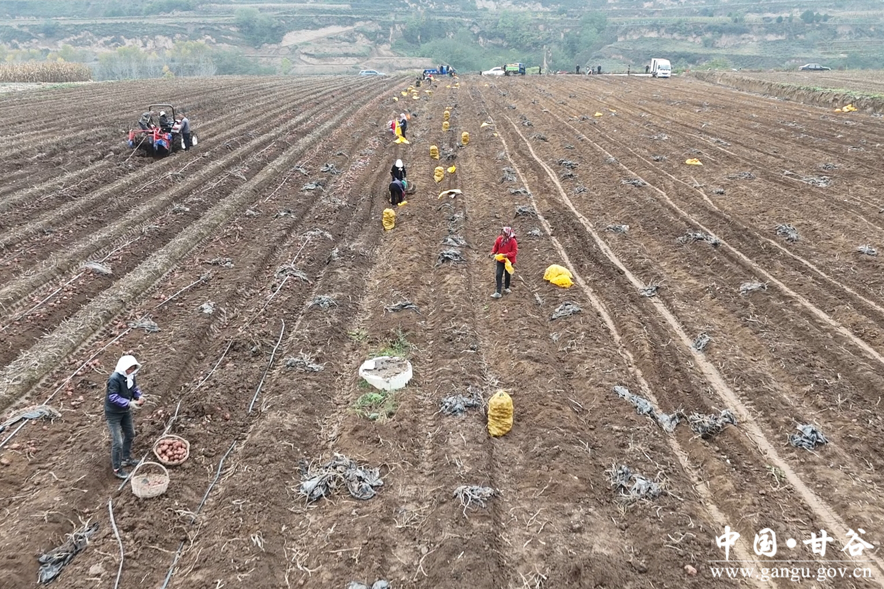 微信图片_20251029170725_32_148 微信图片_20251029170725_32_148