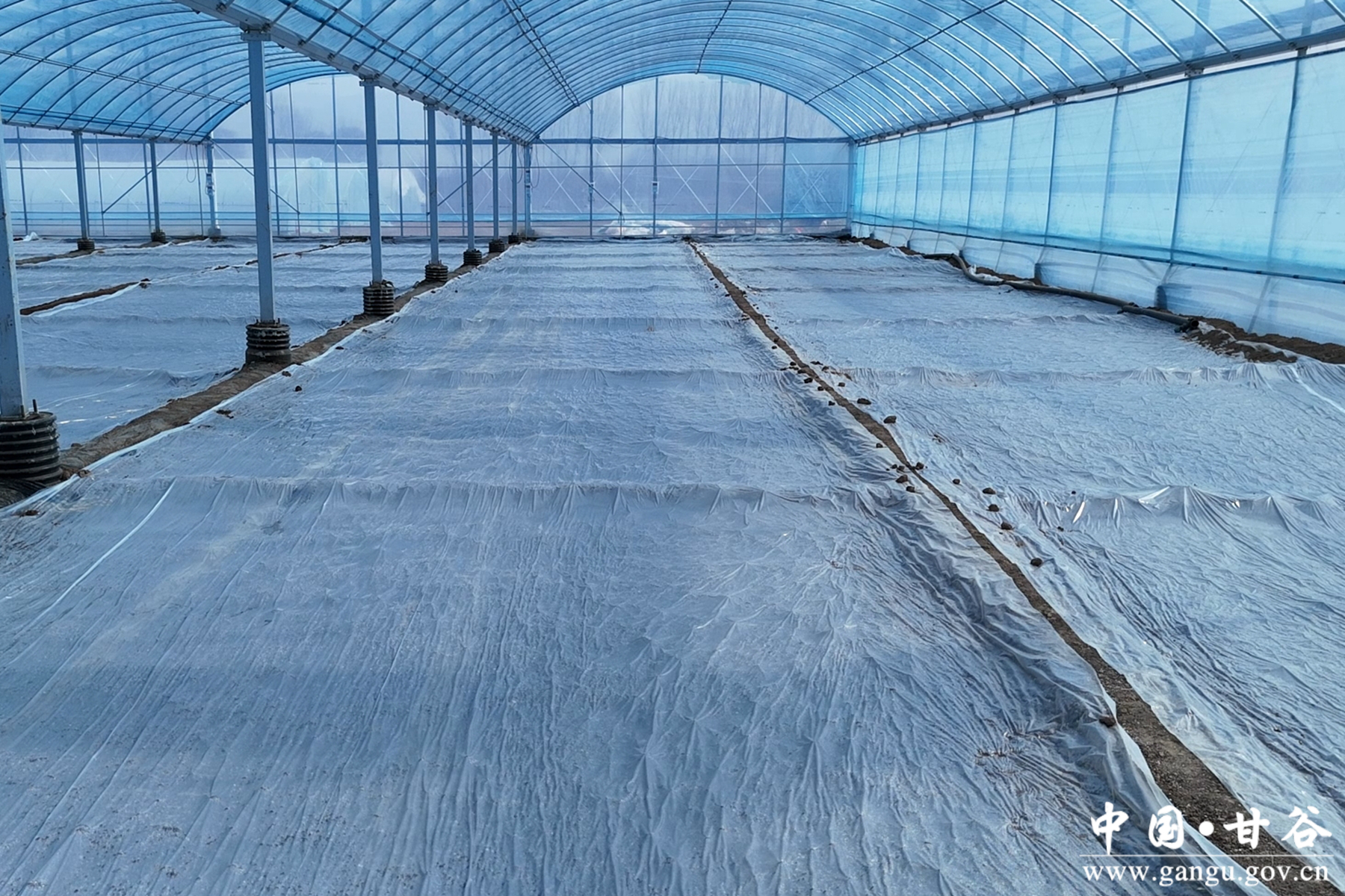 微信图片_20260212155147_48_148 微信图片_20260212155147_48_148