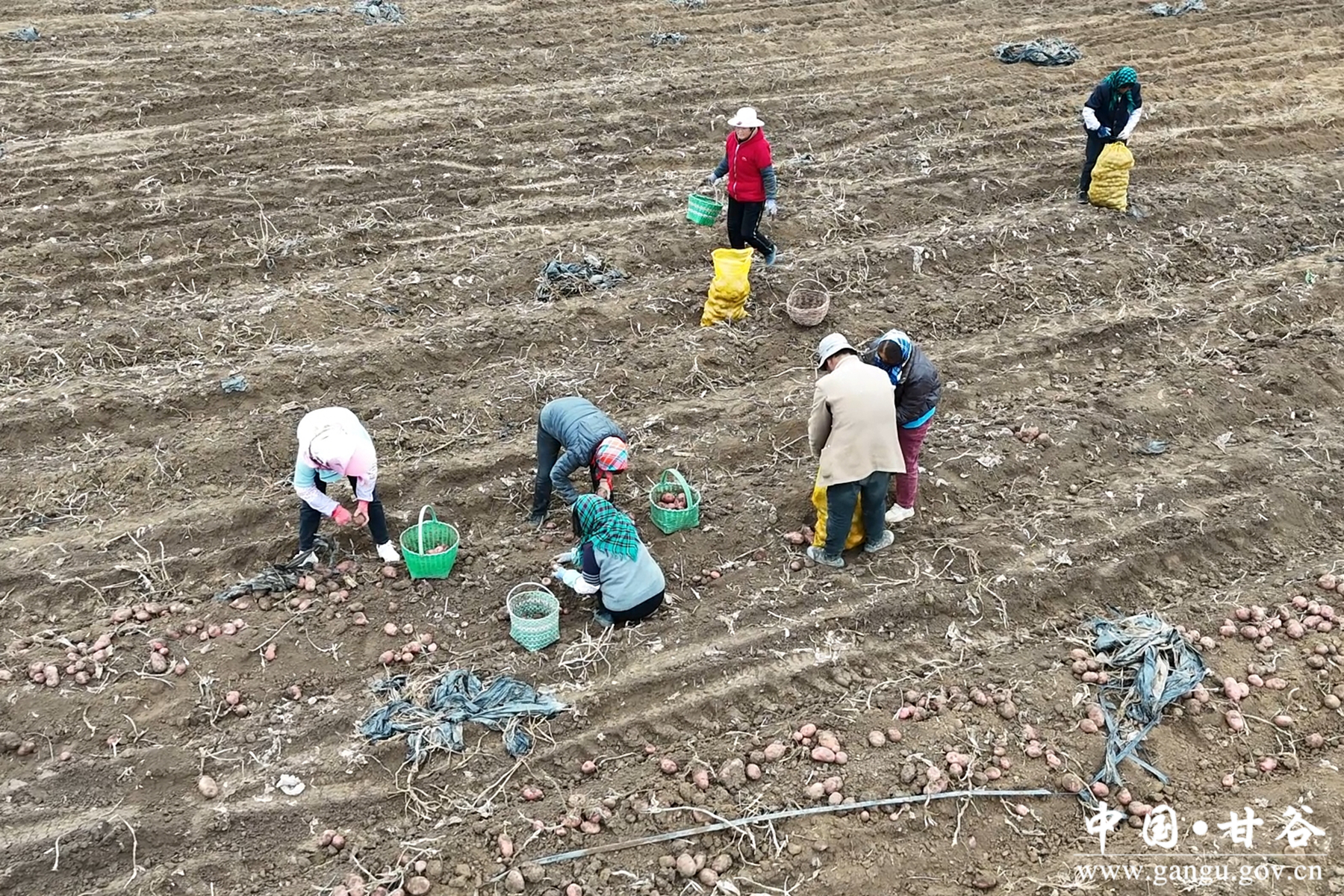 微信图片_20251029170720_31_148 微信图片_20251029170720_31_148