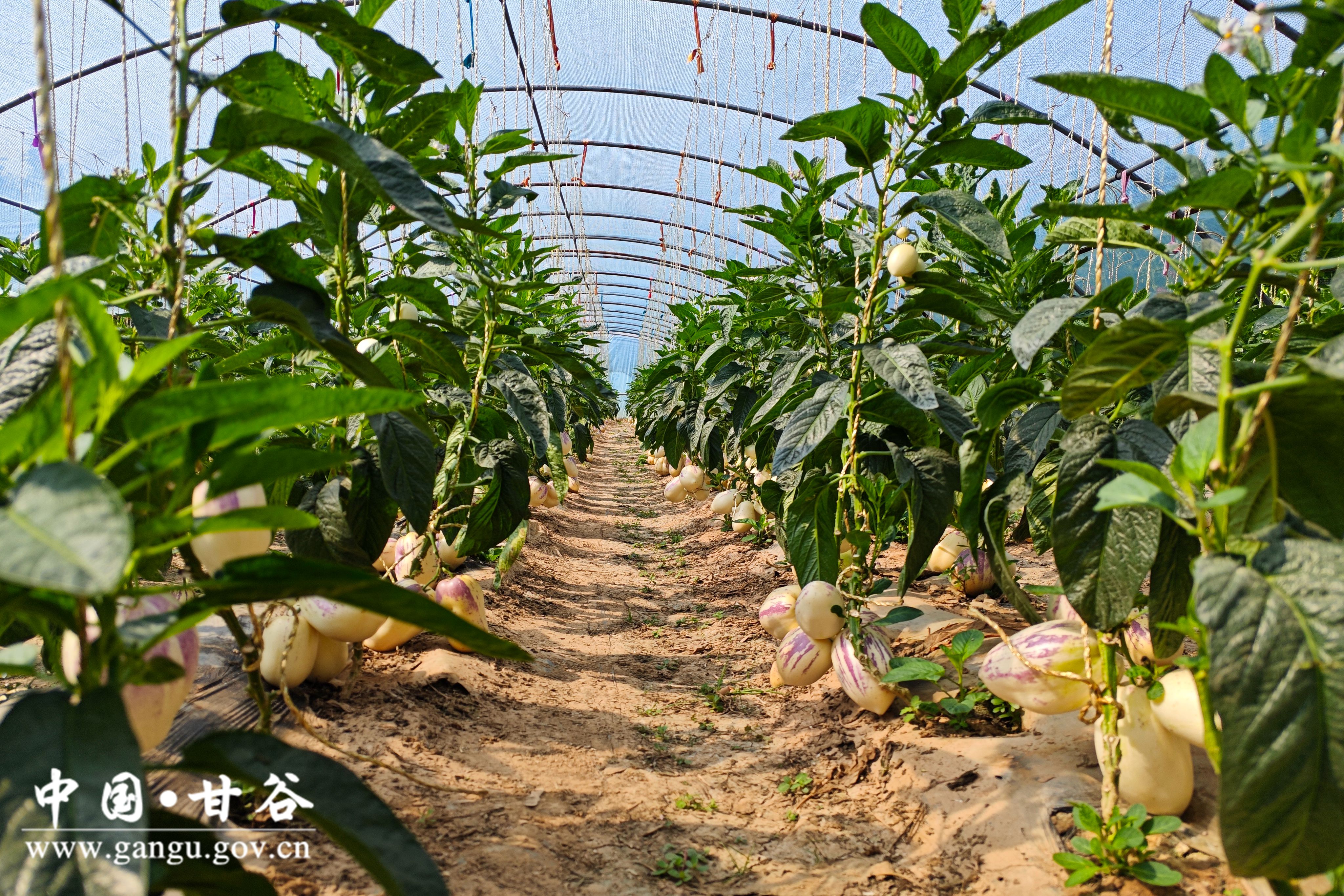 1719912582892009991.jpg 1719912582892009991.jpg