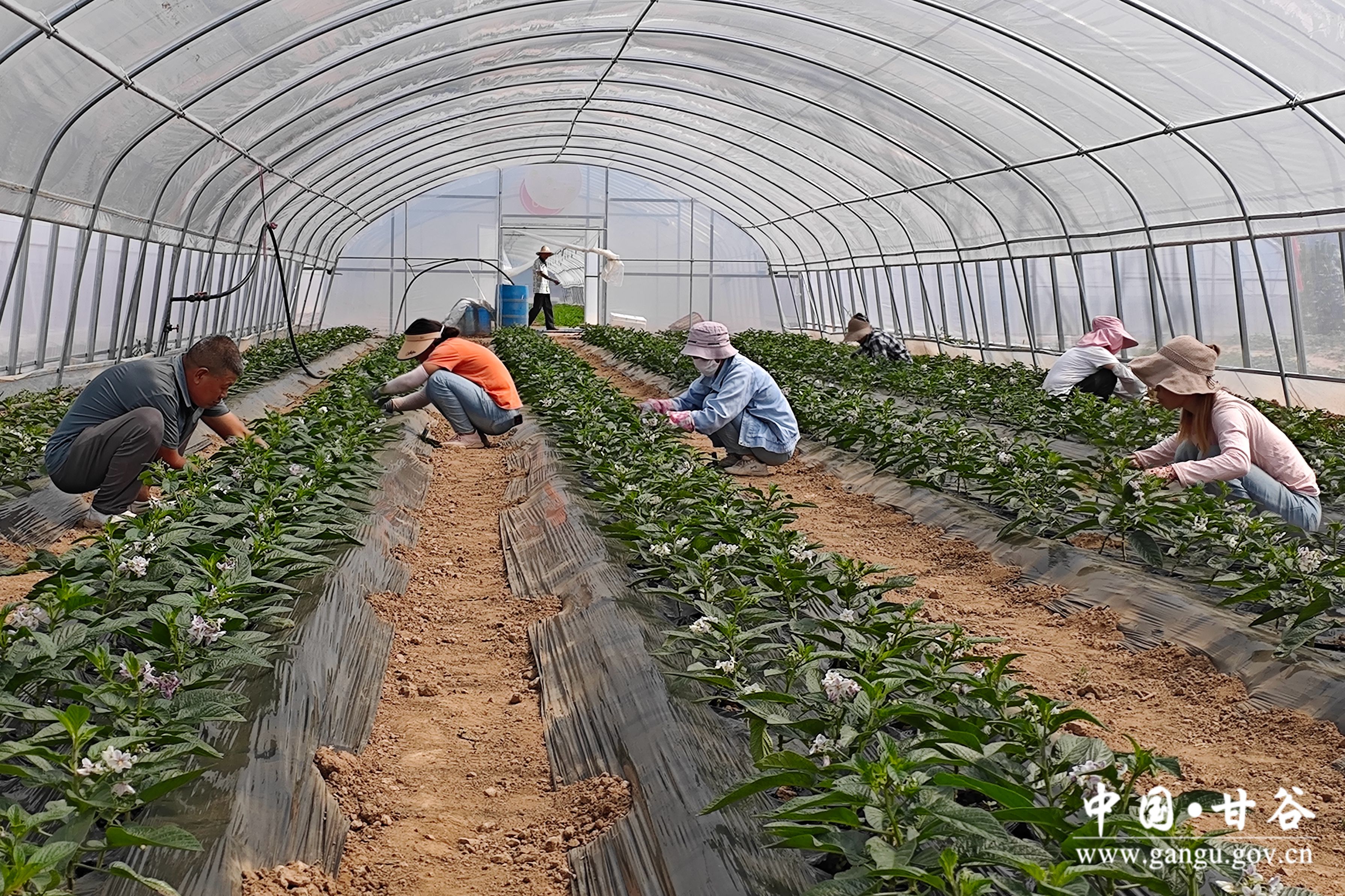 1719912403116094747.jpg 1719912403116094747.jpg