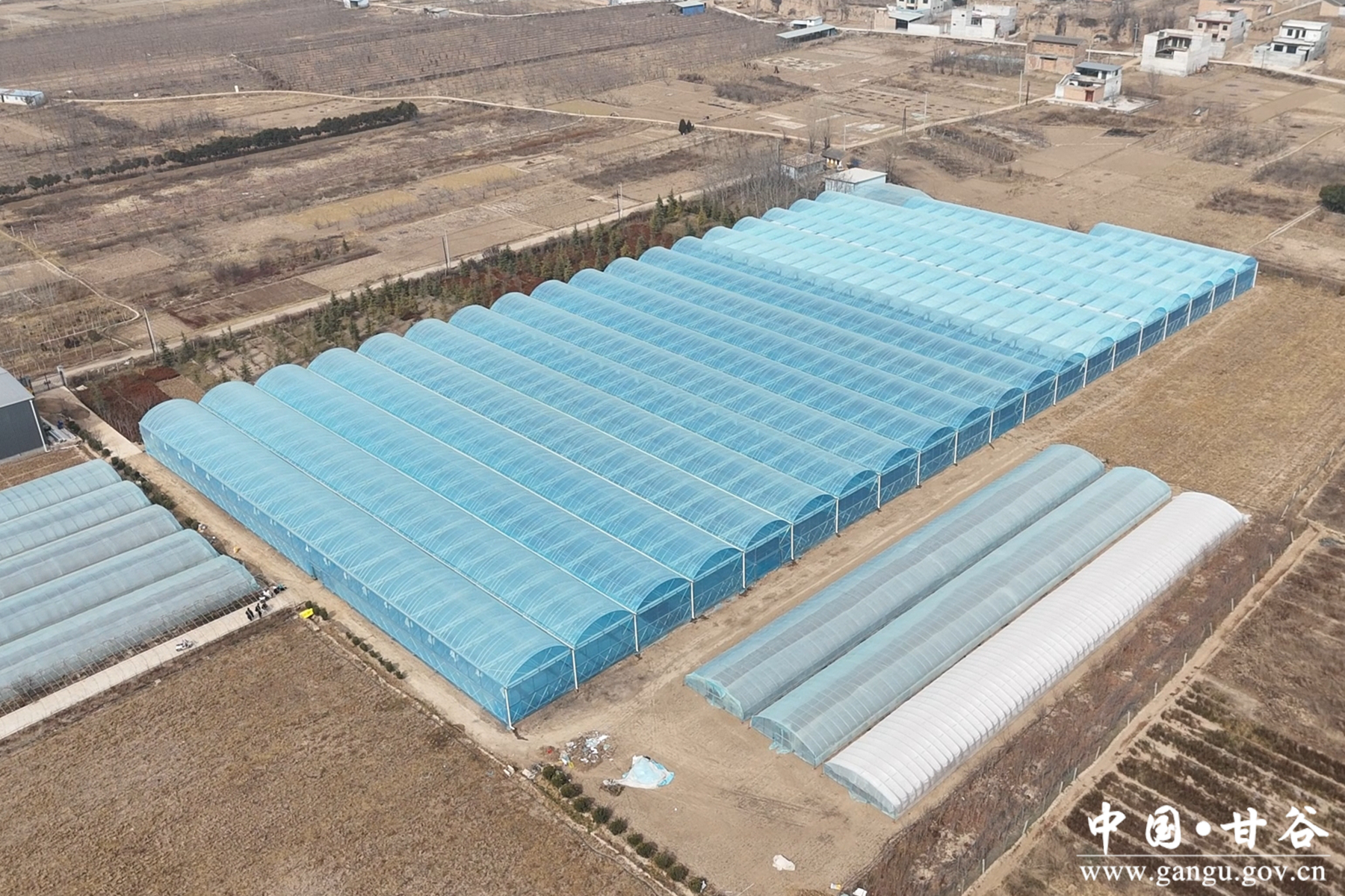 微信图片_20260212155152_51_148 微信图片_20260212155152_51_148