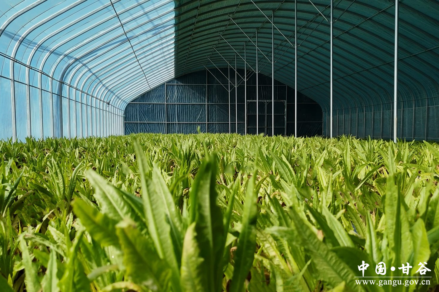 1769506184709094689.jpg 1769506184709094689.jpg