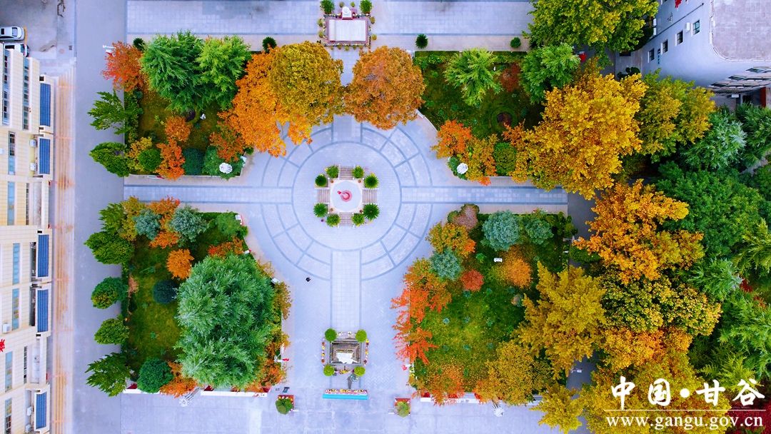 1759636938694061644 1759636938694061644