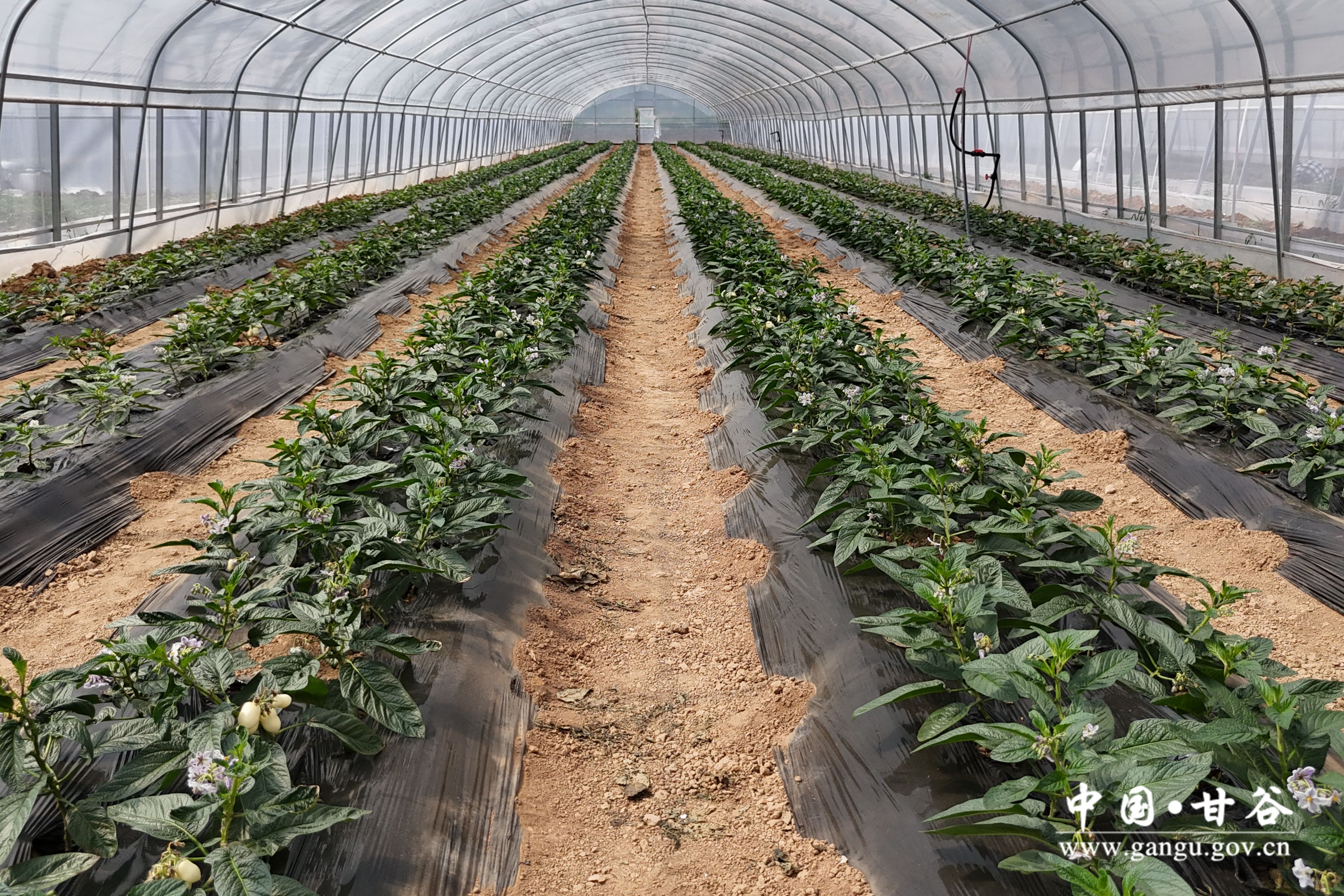 1719912453034023689.jpg 1719912453034023689.jpg