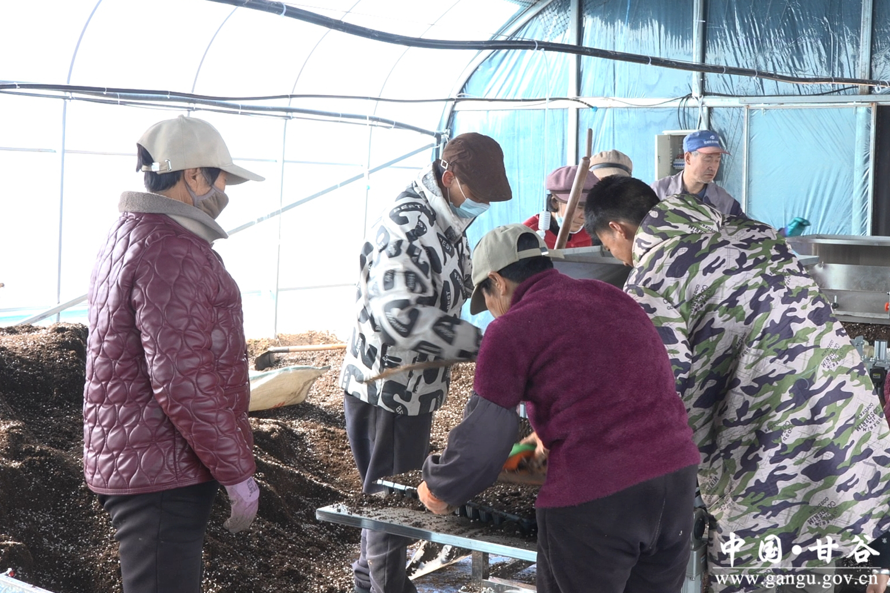 微信图片_20260212155133_43_148 微信图片_20260212155133_43_148