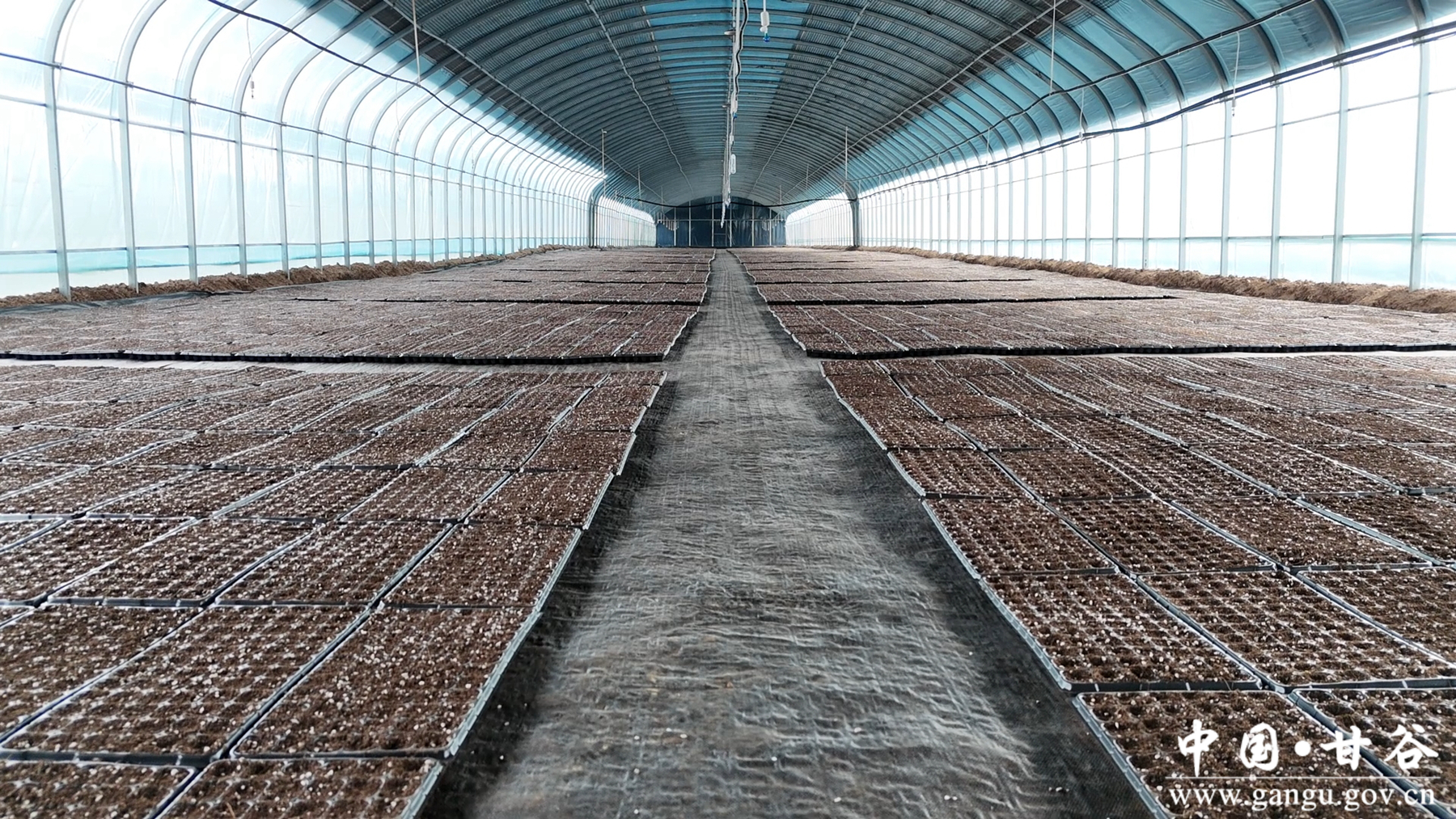 微信图片_20260212155142_46_148 微信图片_20260212155142_46_148