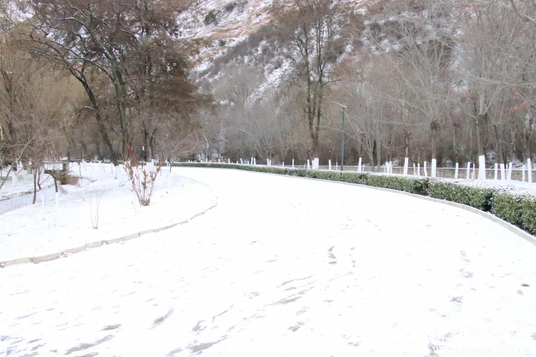 IMG_3912_副本 IMG_3912_副本