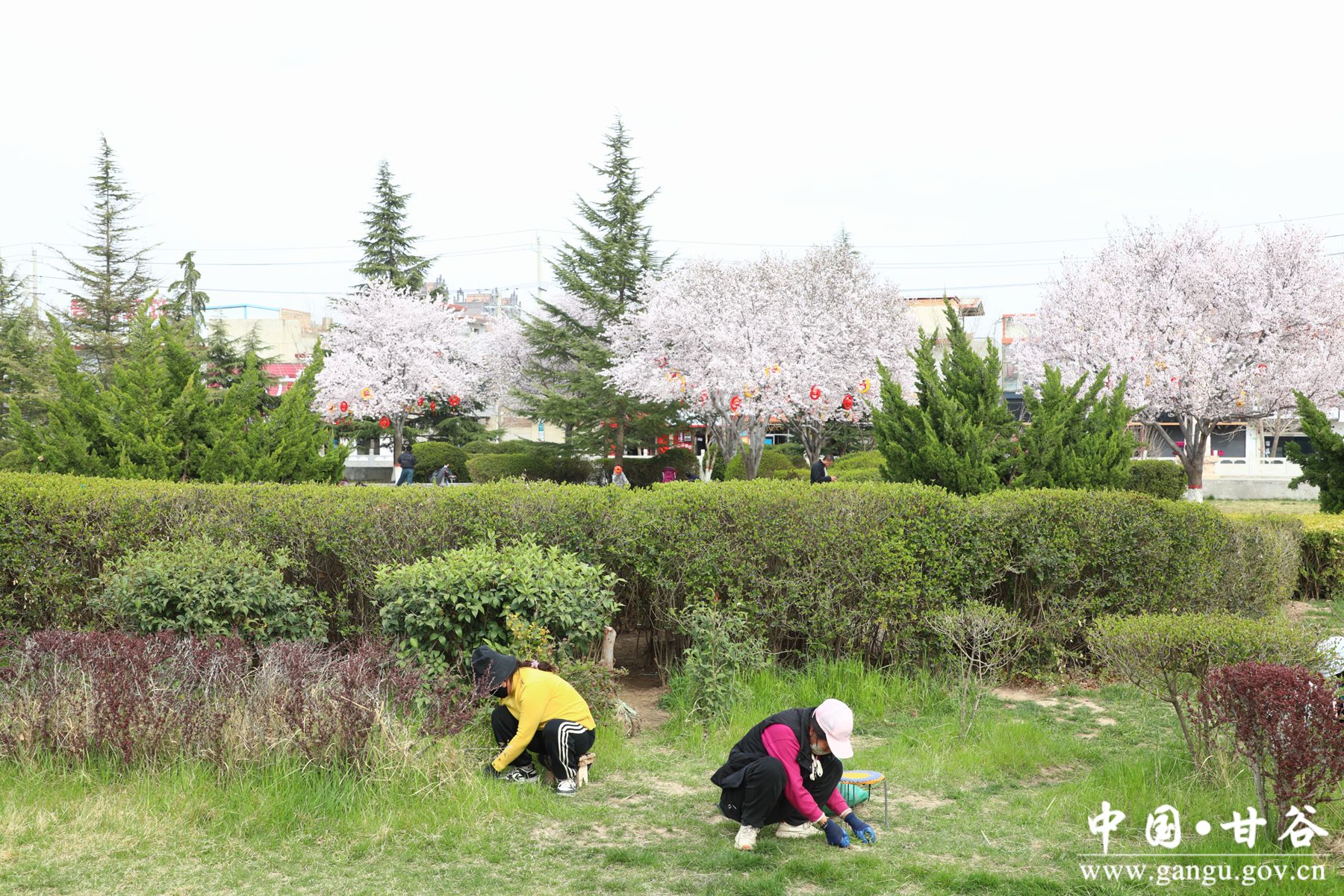 d359984417c4be20a2a422e65a6dadb_副本 d359984417c4be20a2a422e65a6dadb_副本