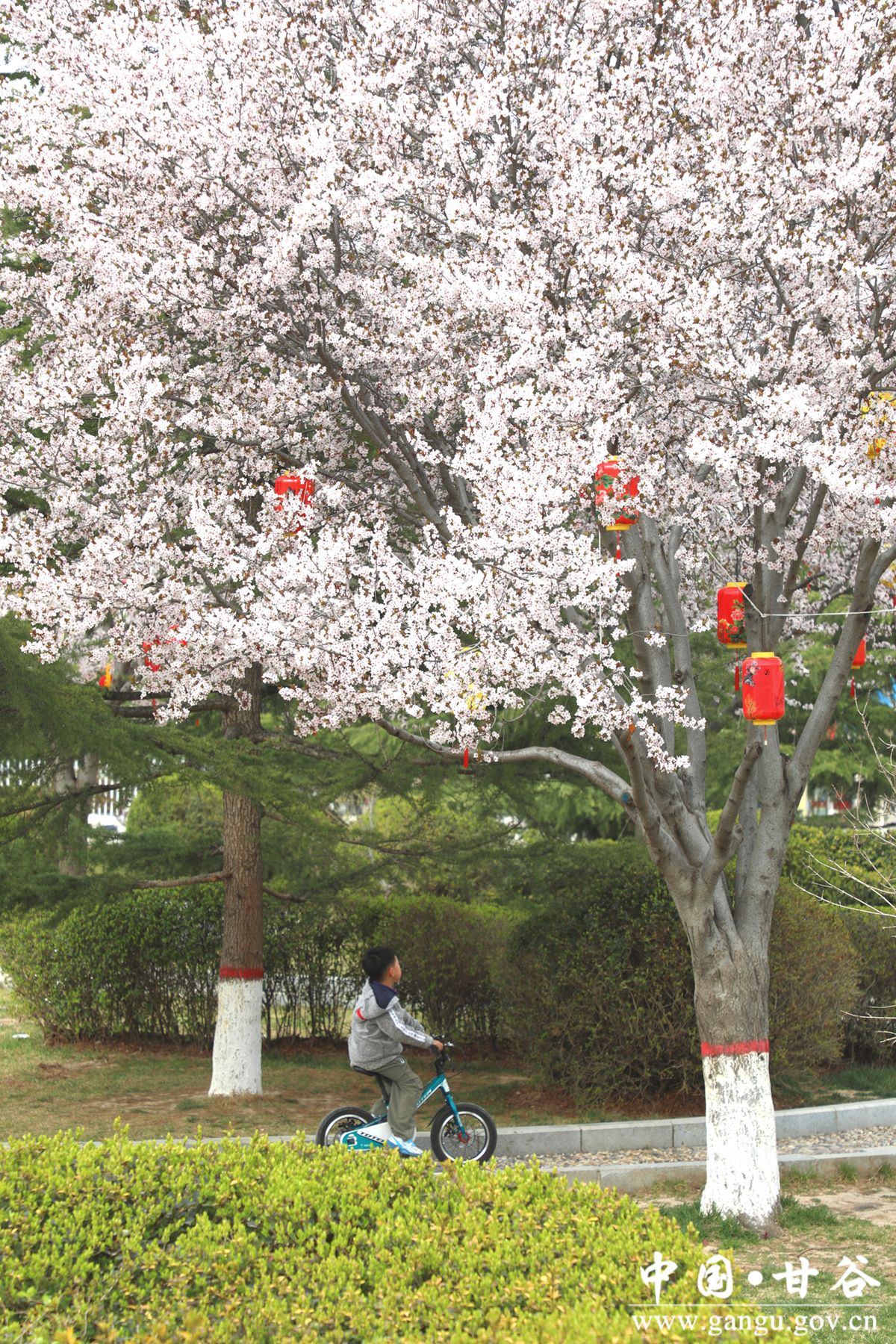 5ad1984b8e5978853a949560a103e59_副本 5ad1984b8e5978853a949560a103e59_副本