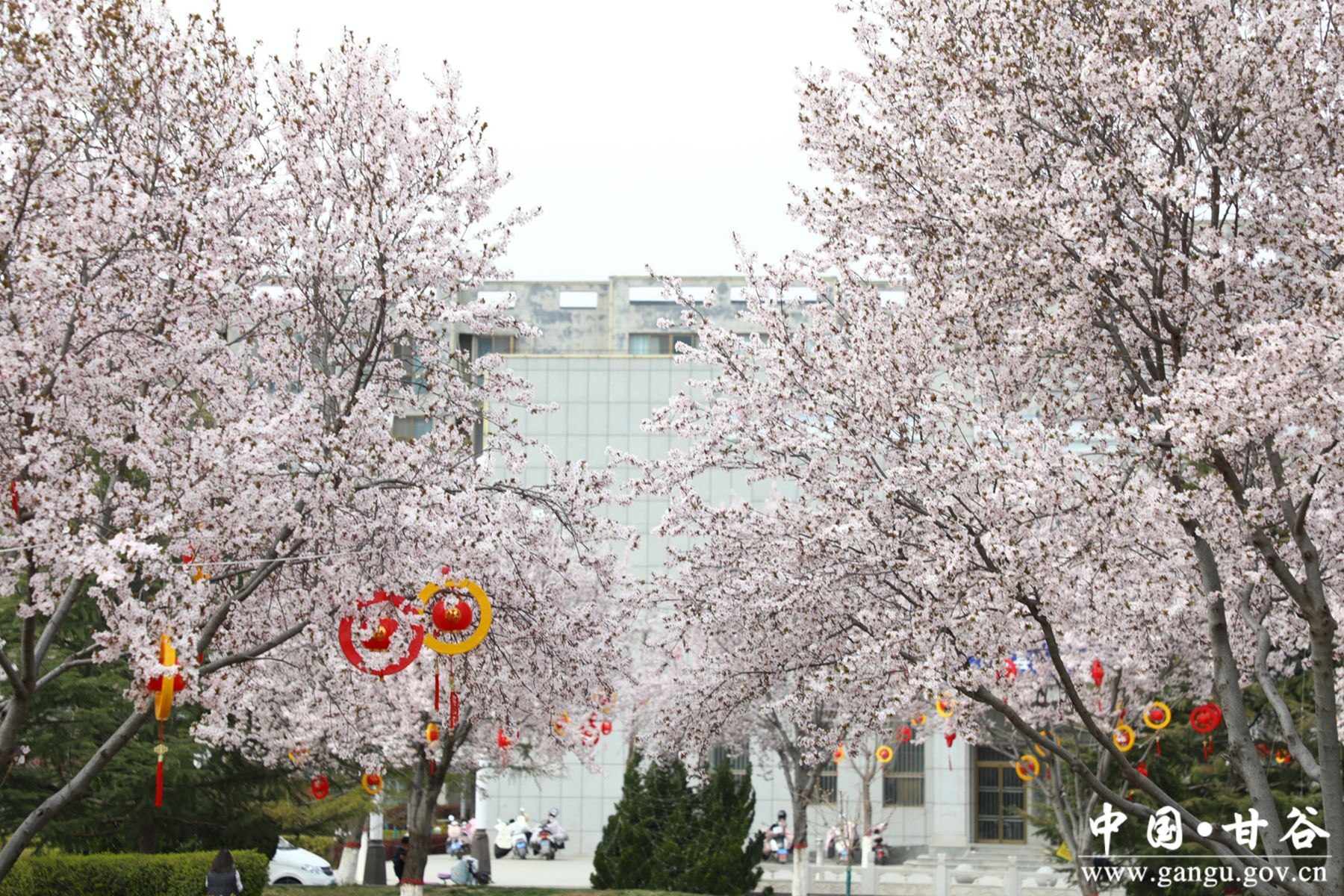 40b94e22af84c0c300ee61c1ab7ccfd_副本 40b94e22af84c0c300ee61c1ab7ccfd_副本