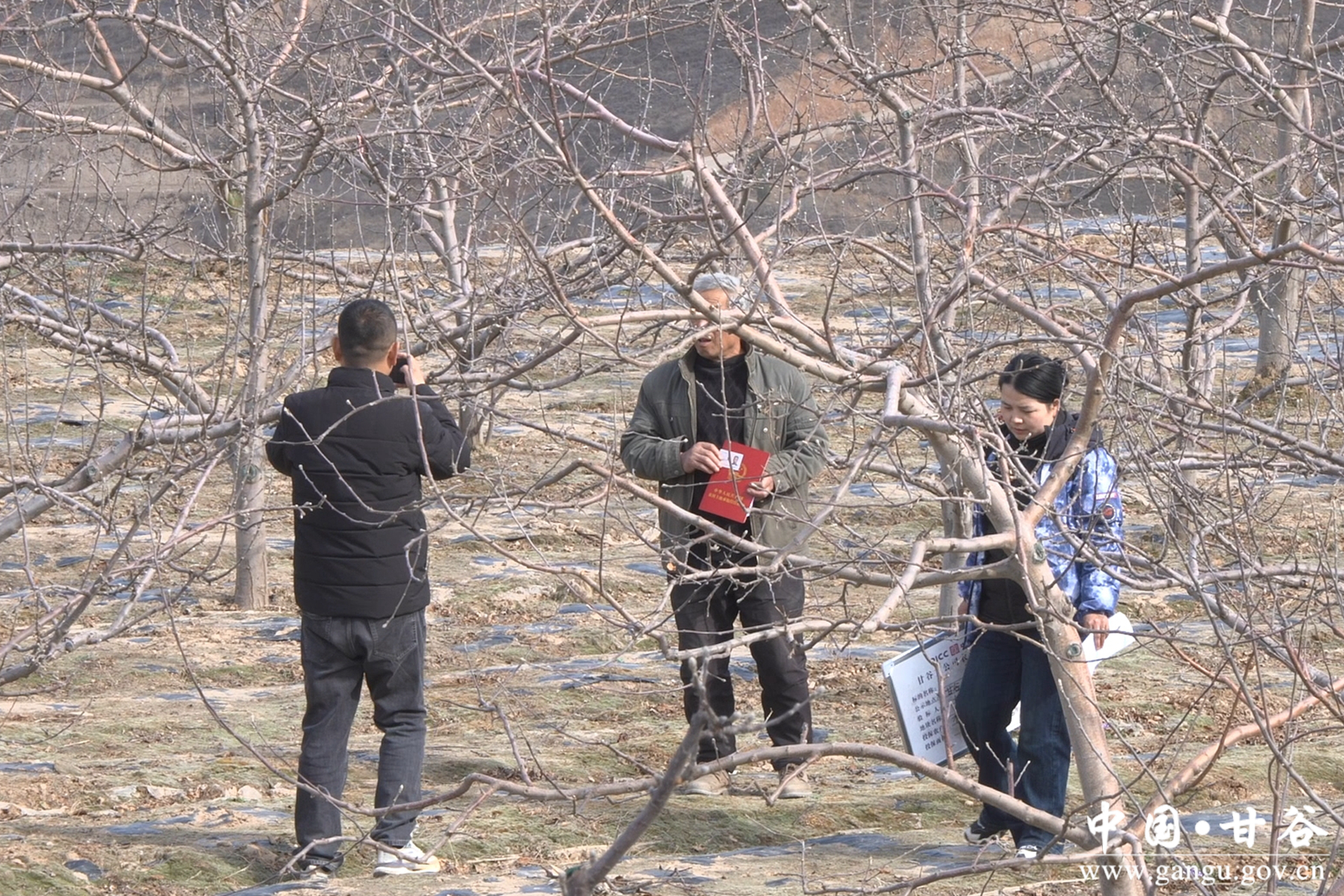 微信图片_20260320173344_35_148 微信图片_20260320173344_35_148