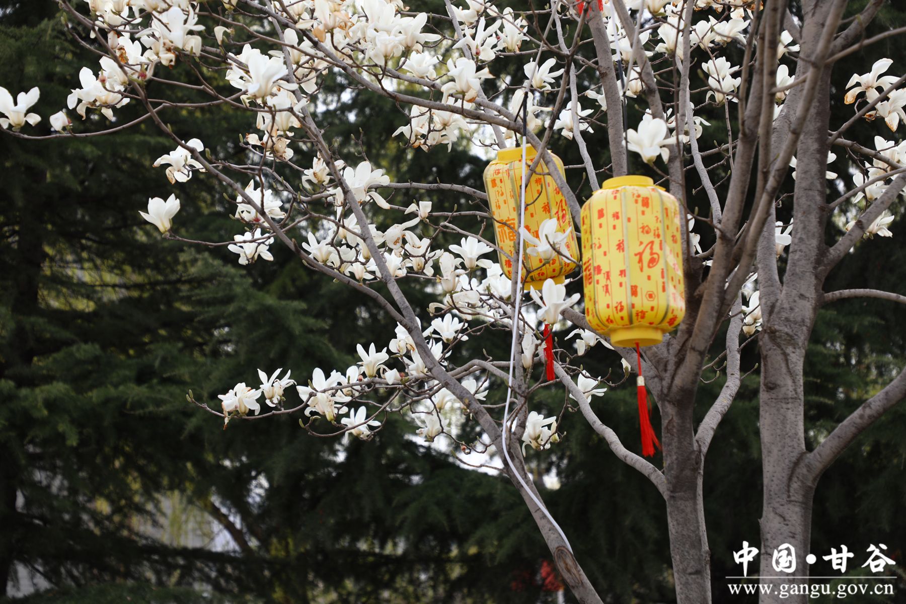 7ae91c13f0e41c7544849478443a5c4_副本 7ae91c13f0e41c7544849478443a5c4_副本