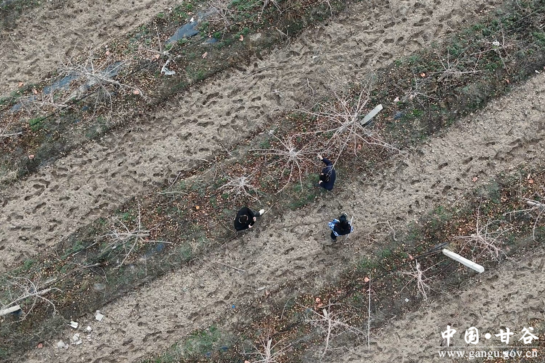 微信图片_20260320173352_40_148 微信图片_20260320173352_40_148