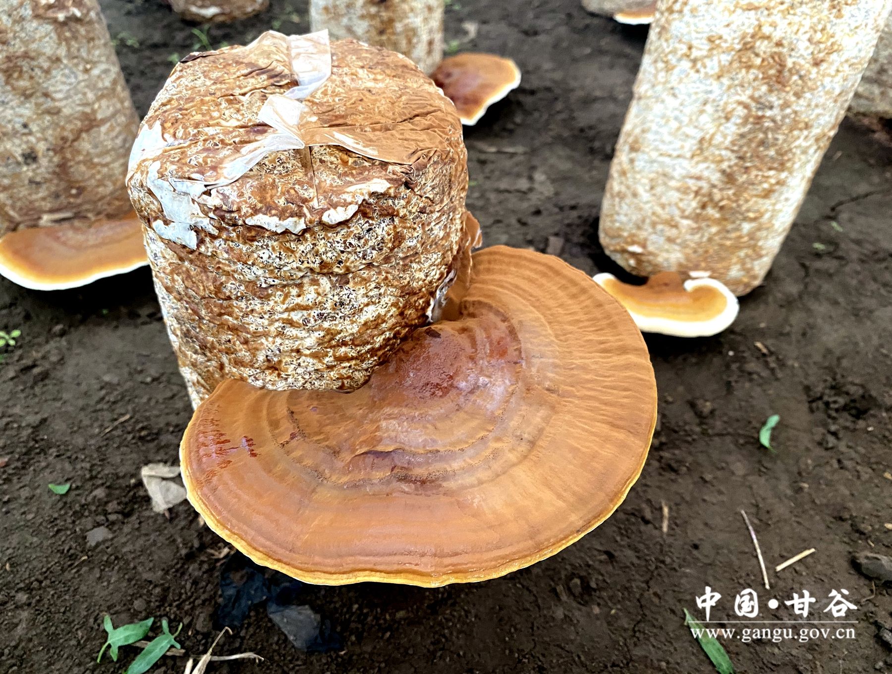 597be98b57b8d41d520341bb671480d 597be98b57b8d41d520341bb671480d