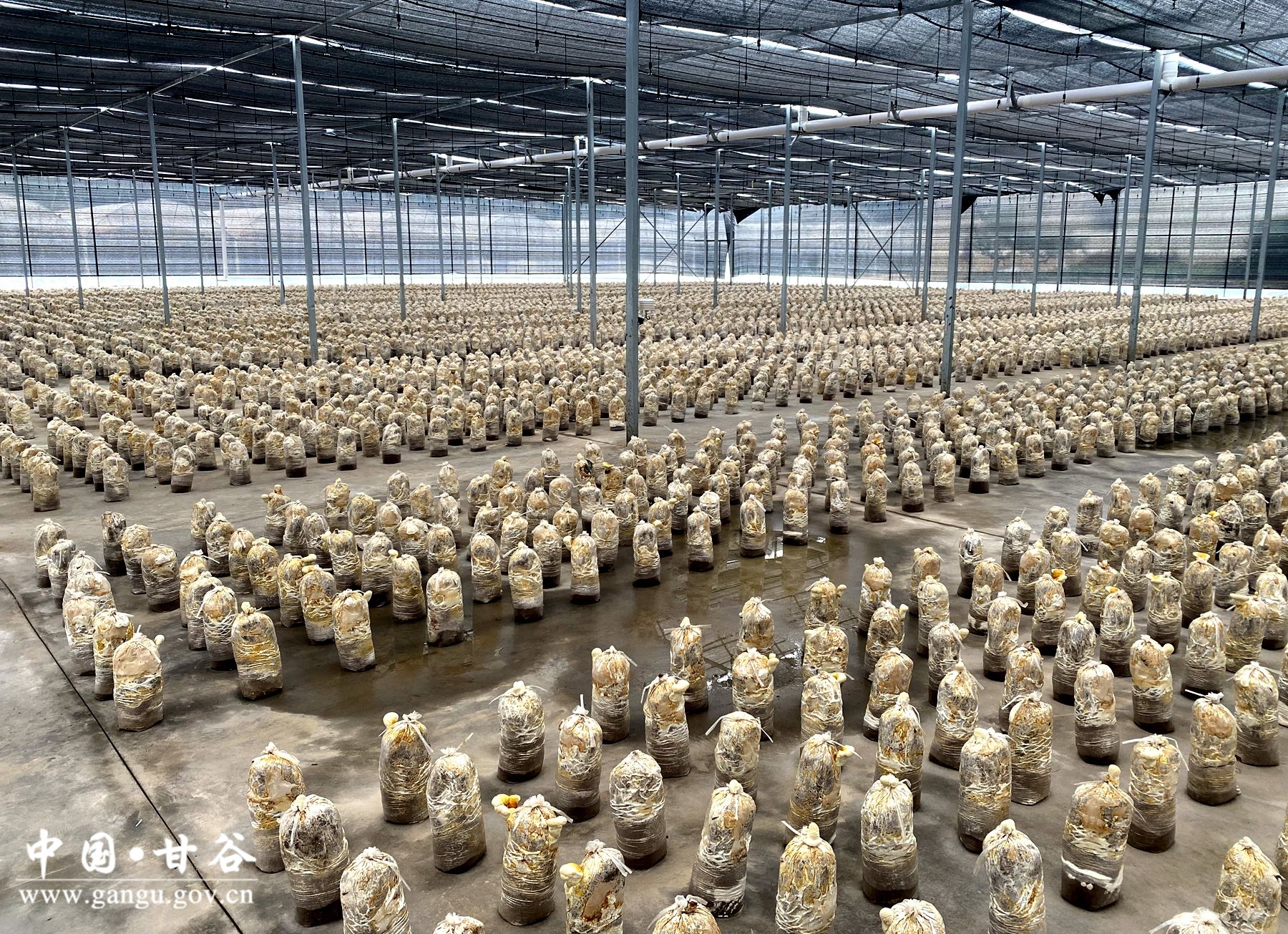 df2b1680b3c544dfe5b8712dad559ab df2b1680b3c544dfe5b8712dad559ab