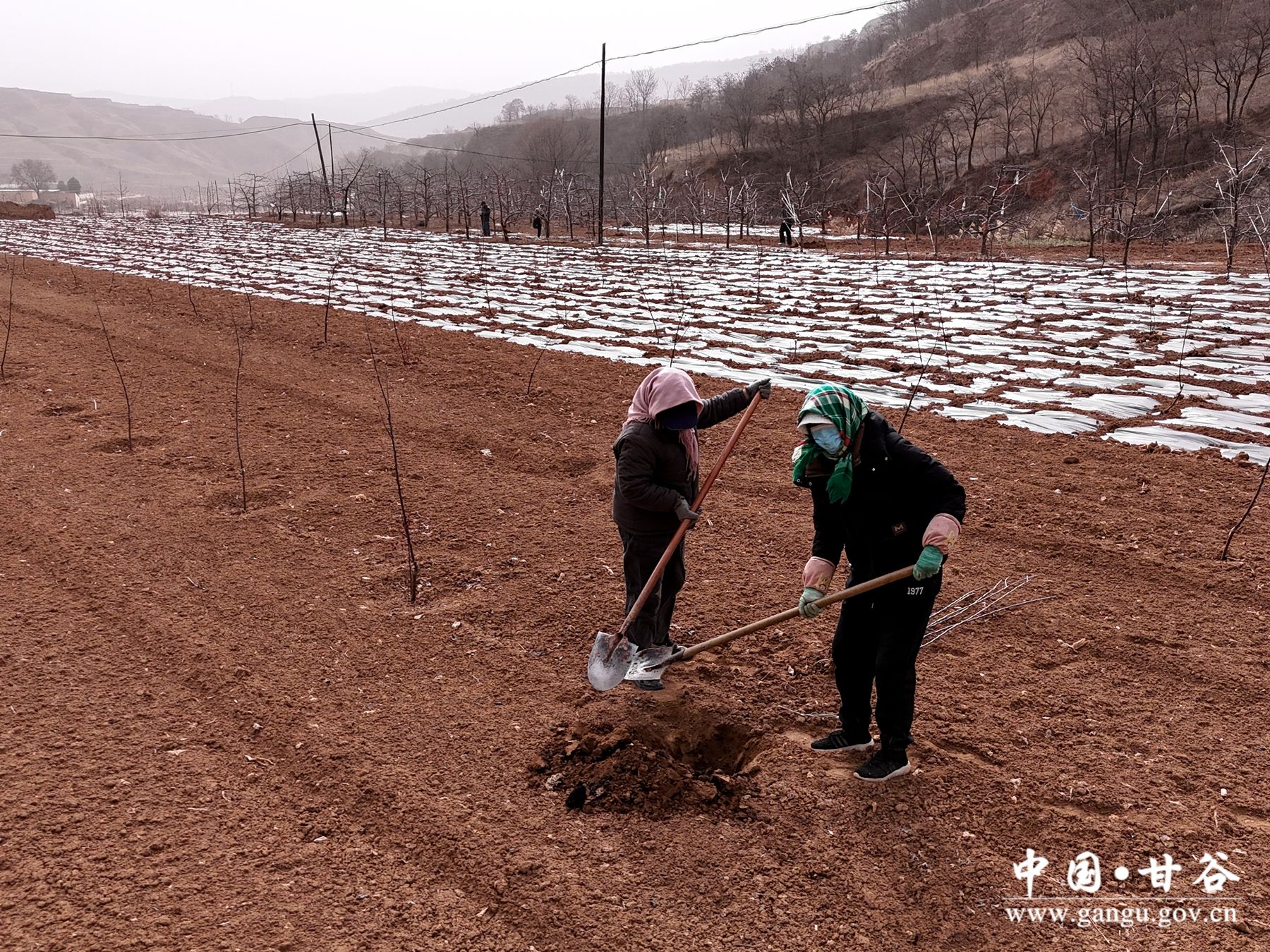 DJI_20250311103146_0601_D DJI_20250311103146_0601_D