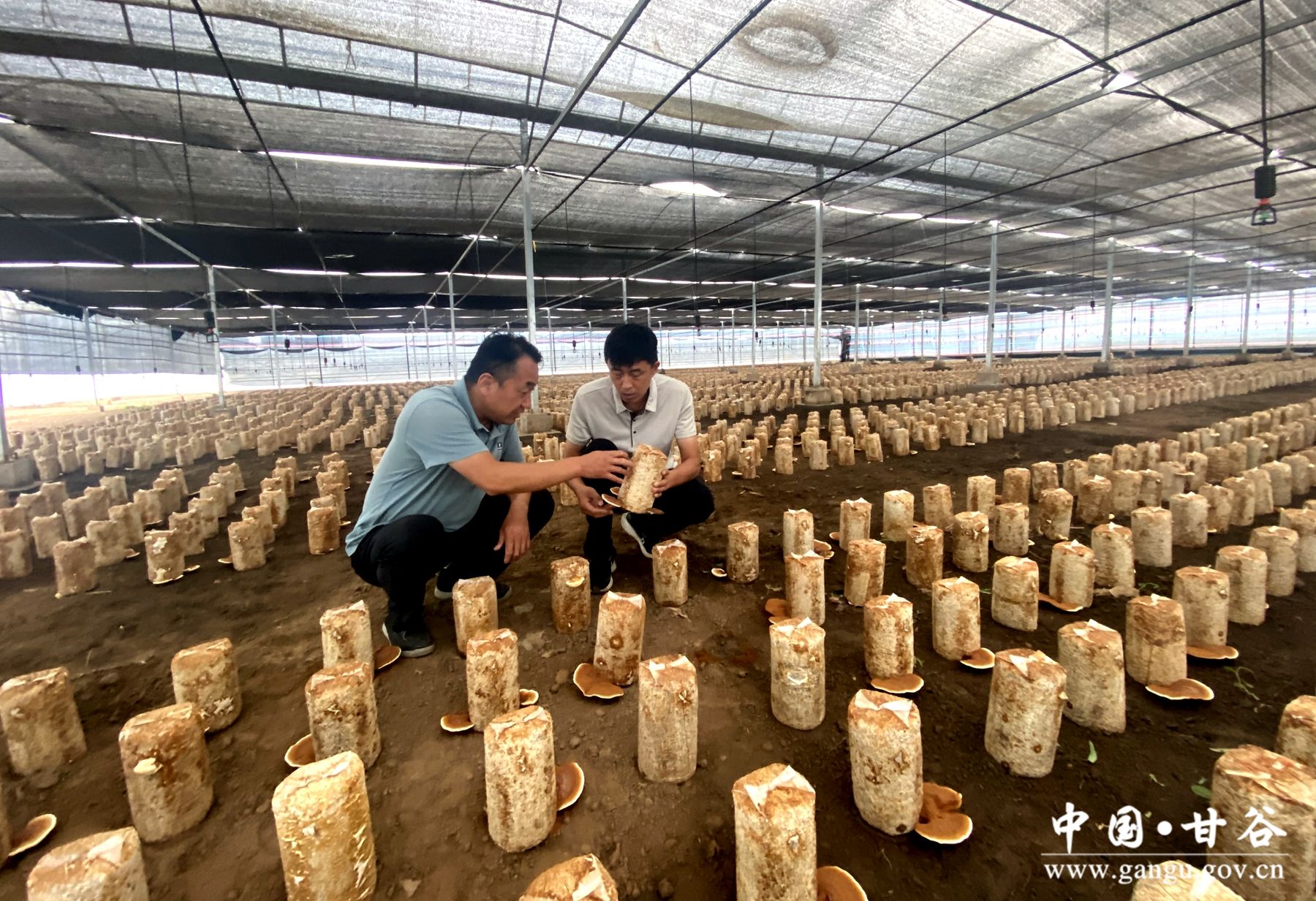 9667abd7b5f744da0bfa6c58abb6e55 9667abd7b5f744da0bfa6c58abb6e55