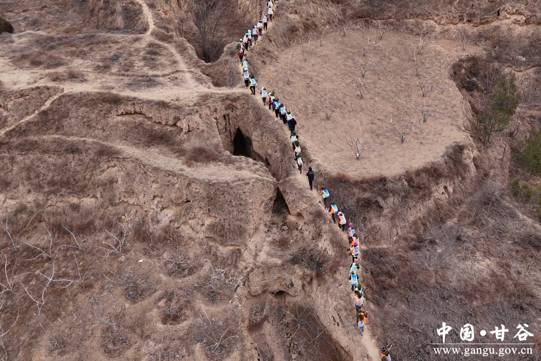 微信图片_20250307094447 微信图片_20250307094447