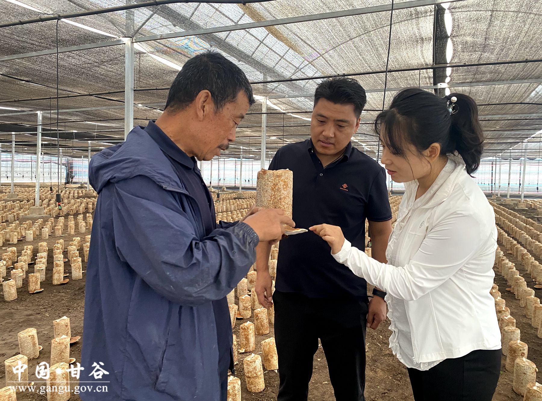 8e89e5b11a0ffd56c42ea4596057e36 8e89e5b11a0ffd56c42ea4596057e36