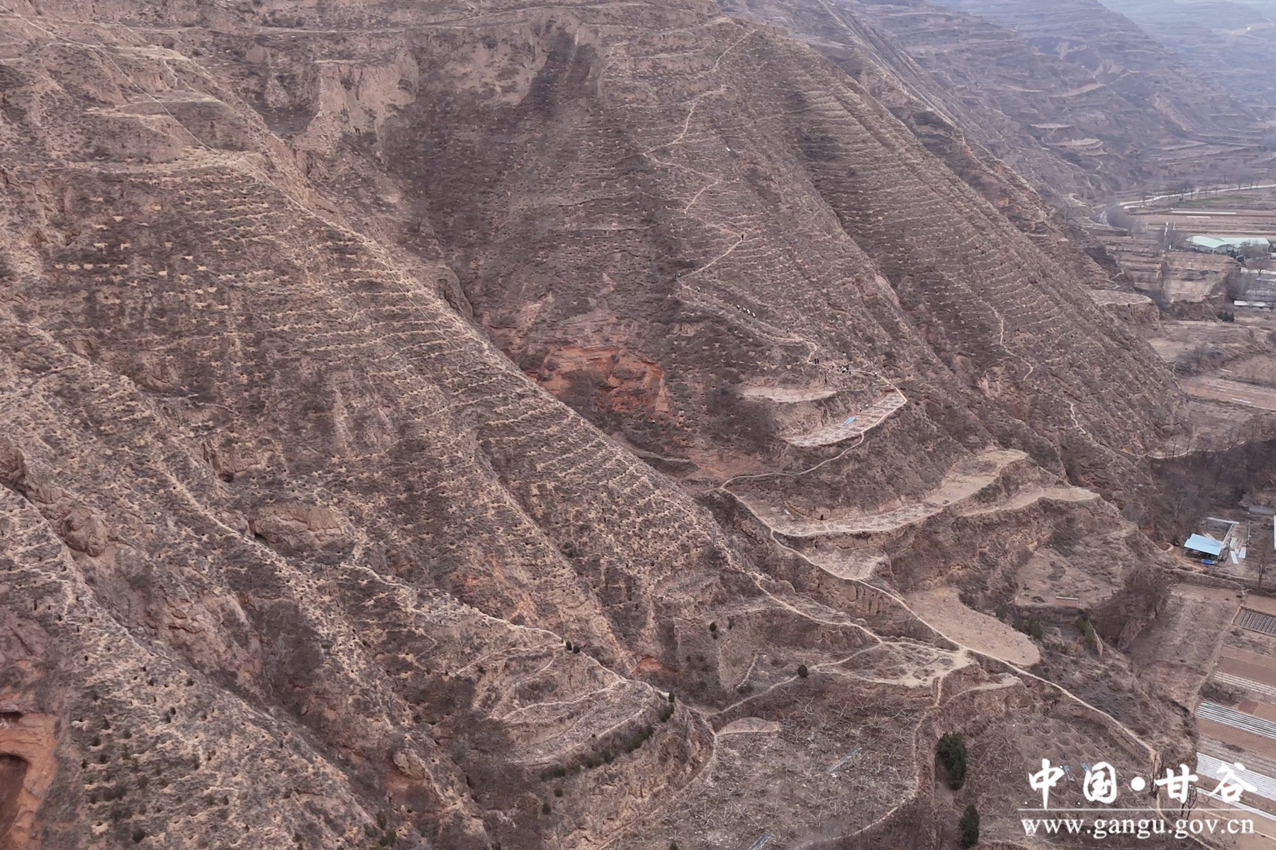 微信图片_20250307094503 微信图片_20250307094503