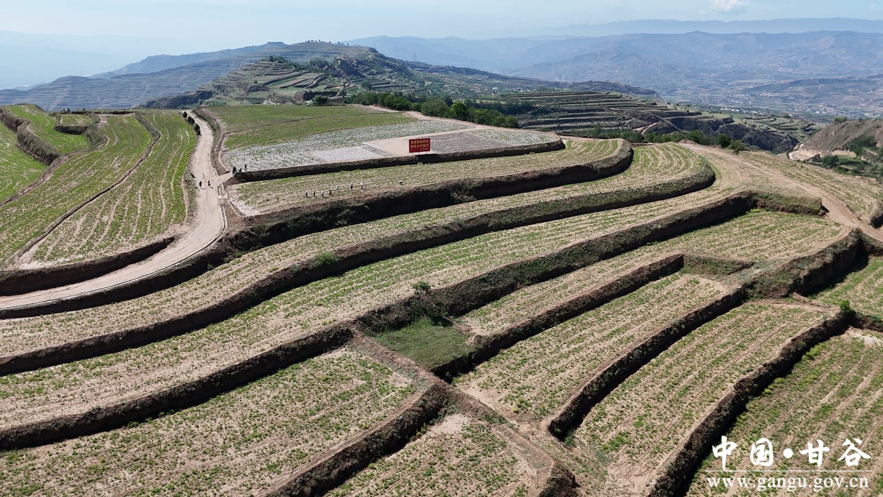 微信图片_20250630164129 微信图片_20250630164129