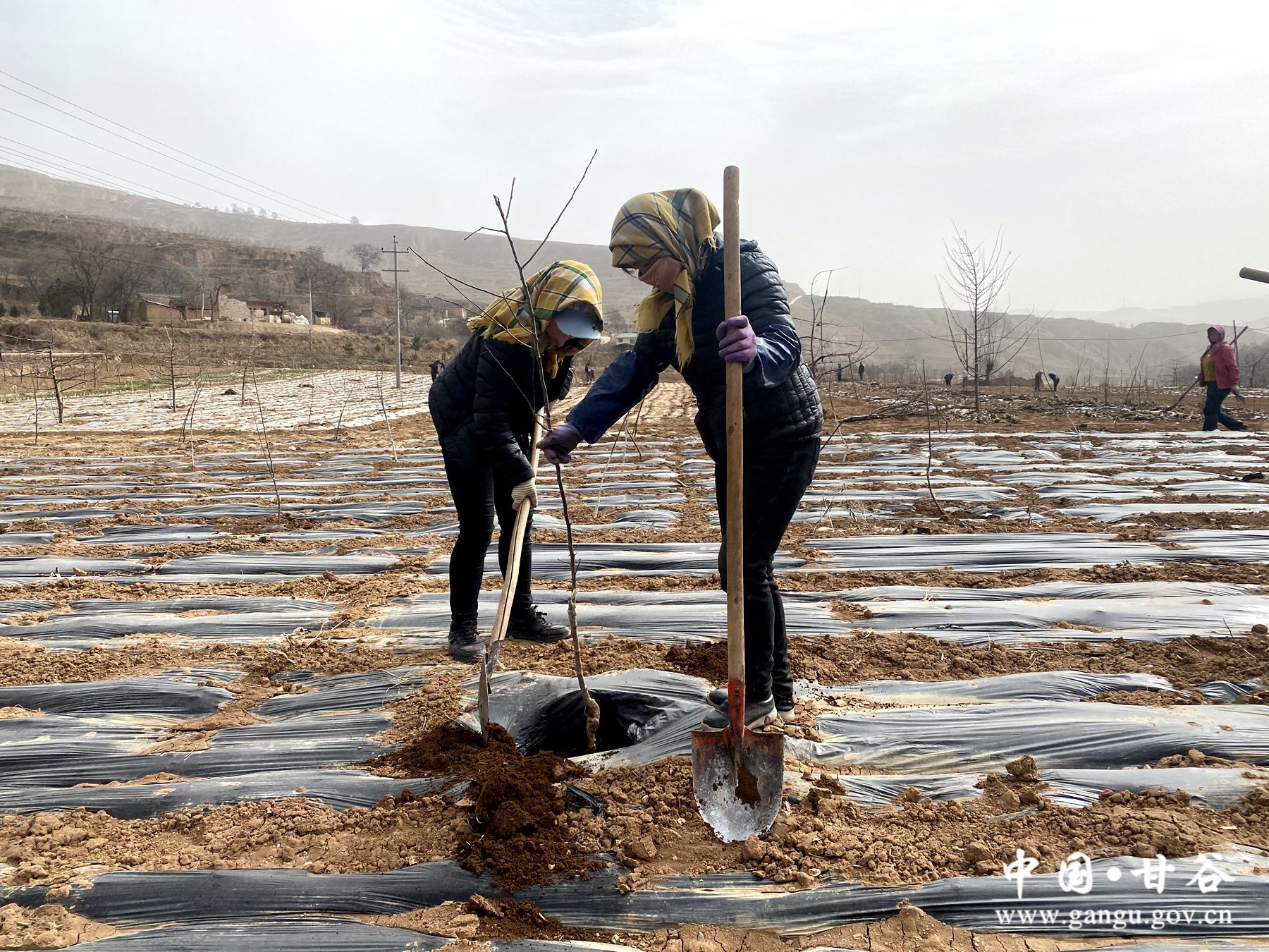 7734bf7ddd66ed3b2d1bb1619093027 7734bf7ddd66ed3b2d1bb1619093027