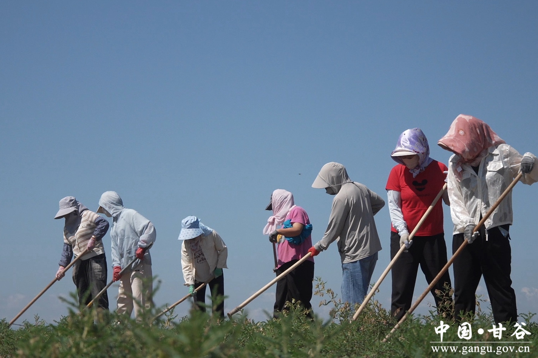 微信图片_20250630164126 微信图片_20250630164126