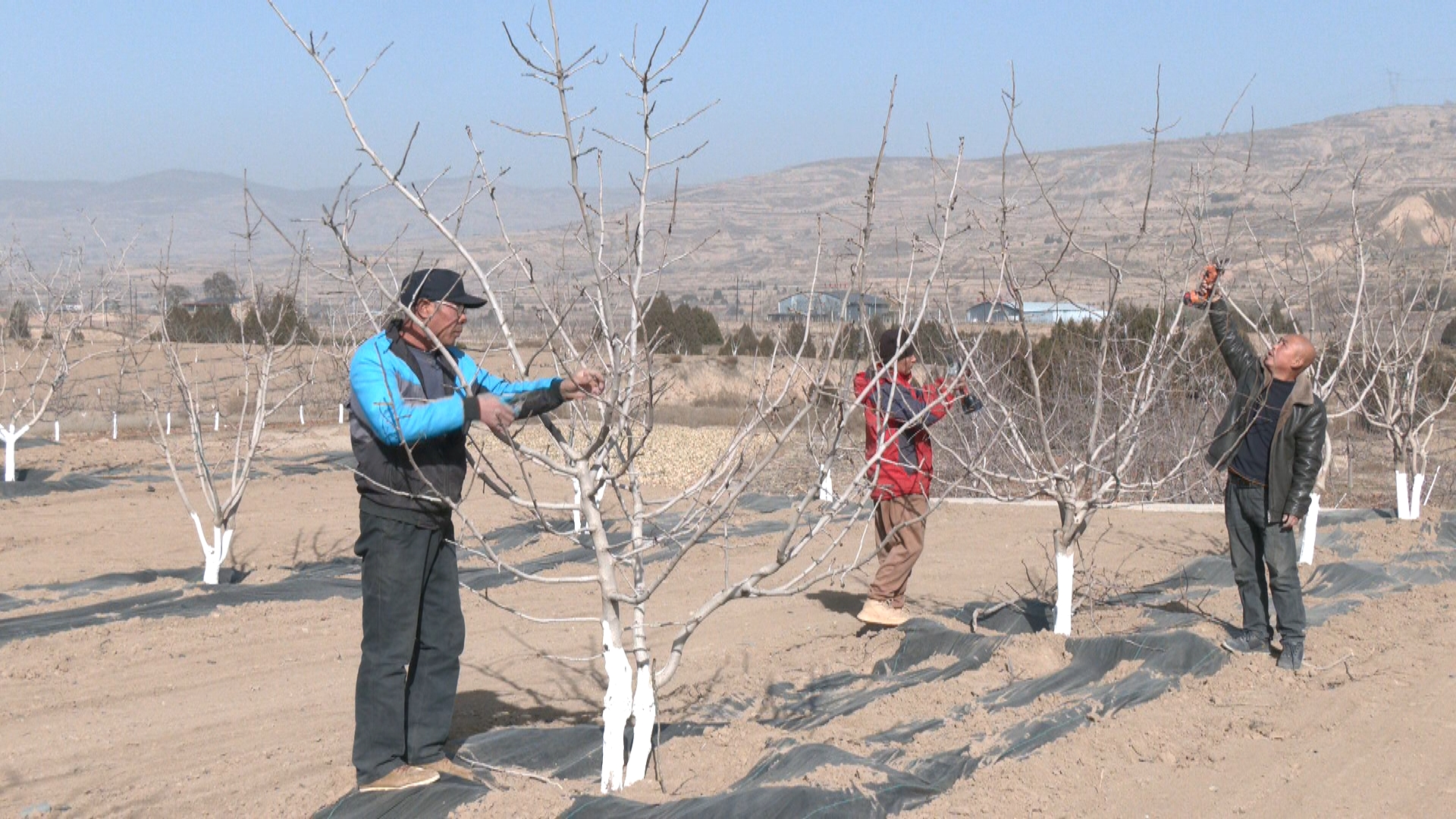 1768530666477027191.jpg 1768530666477027191.jpg