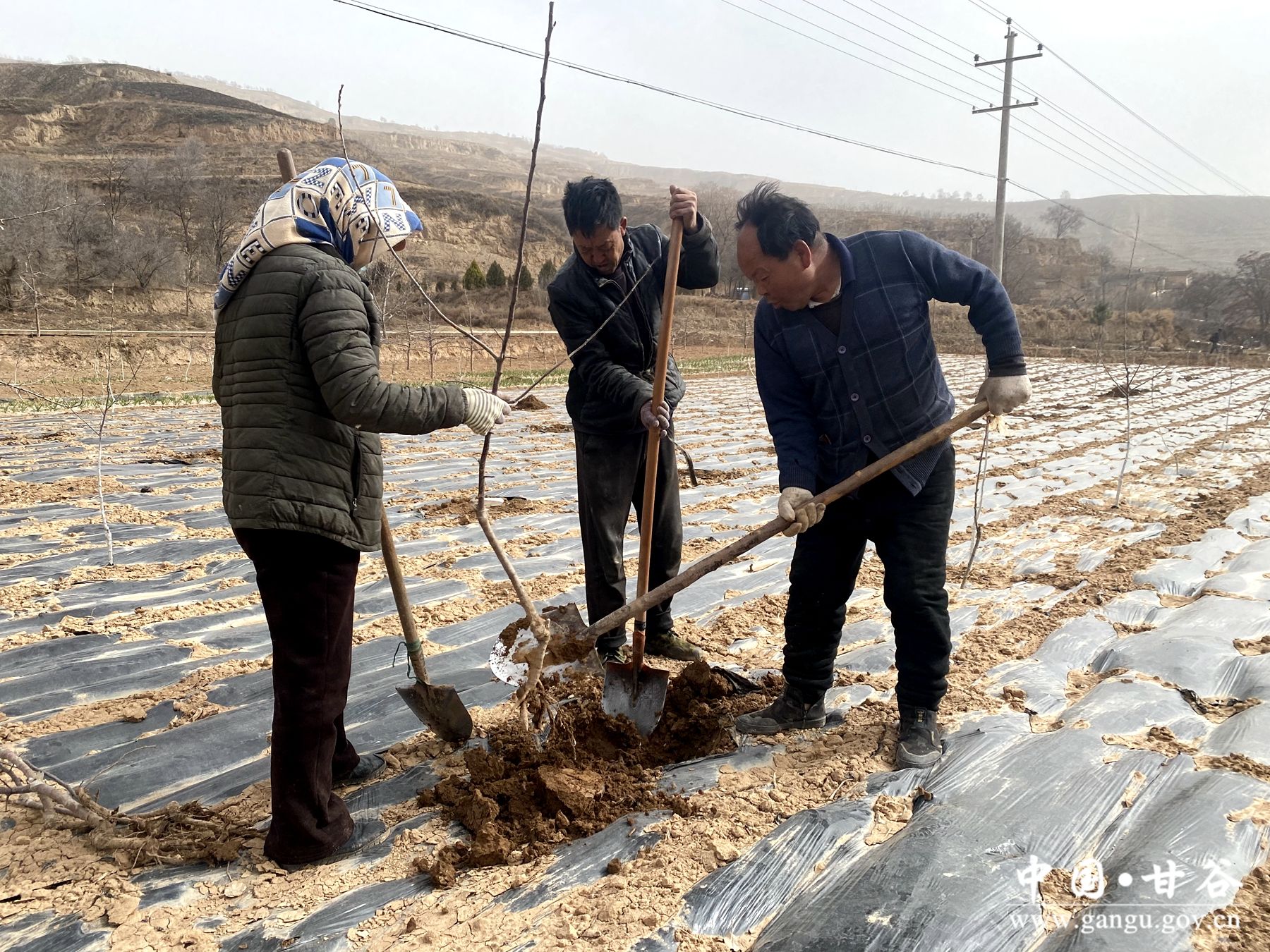 c85c7388b220c27da44f53c6e7dfbb0 c85c7388b220c27da44f53c6e7dfbb0