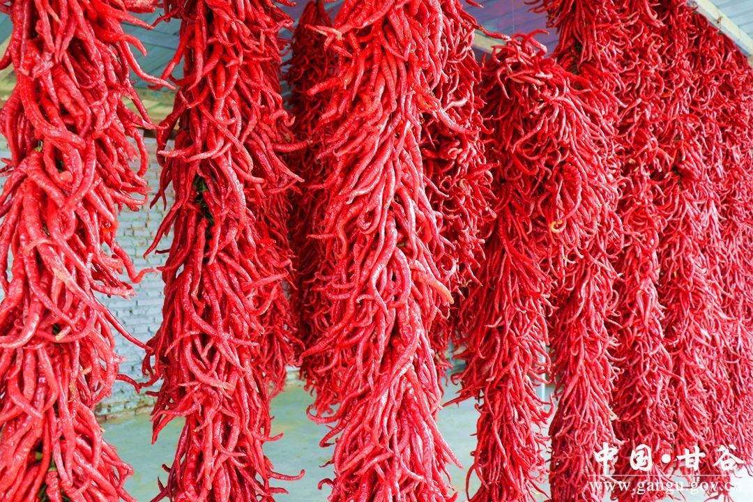 d70aba56ef084b619c82cc008f39e13e