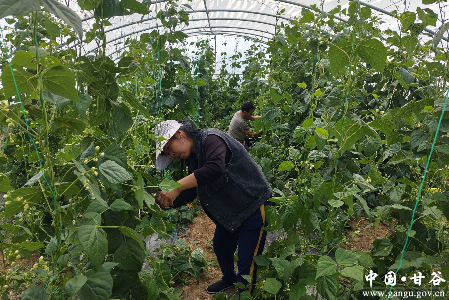 virtual_resource_file (18)