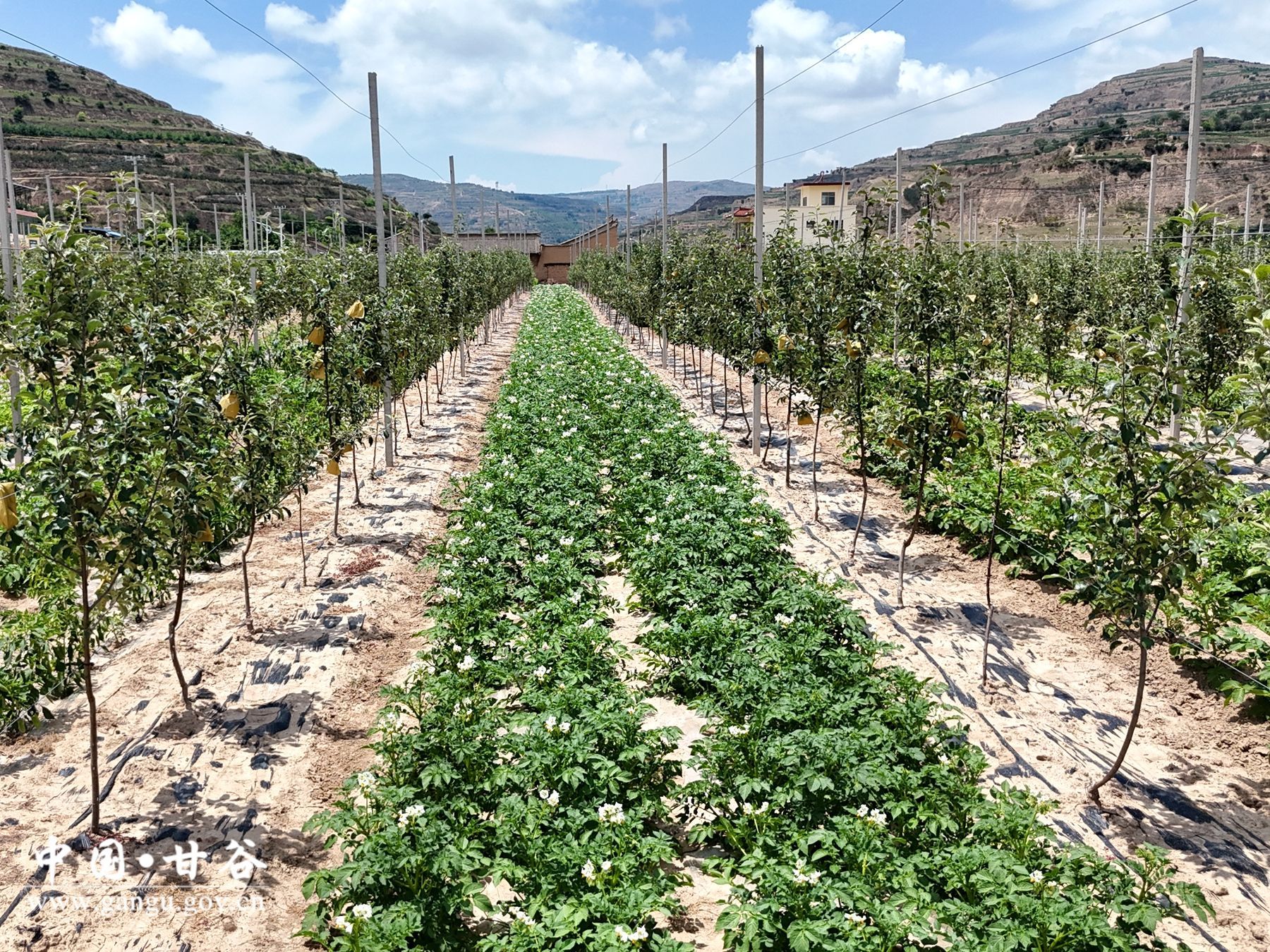 virtual_resource_file (16)