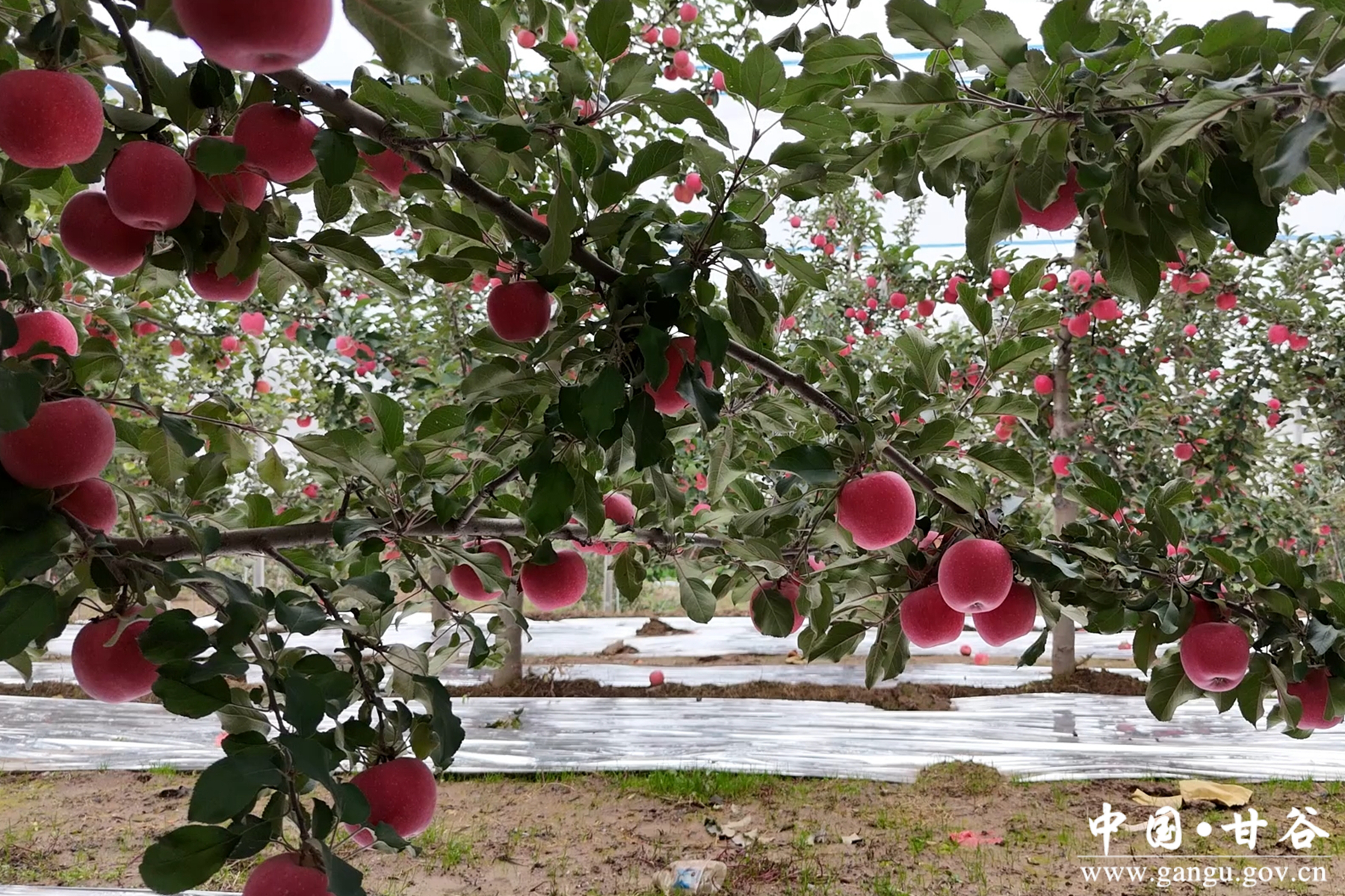 微信图片_20251022114519_7_148 微信图片_20251022114519_7_148