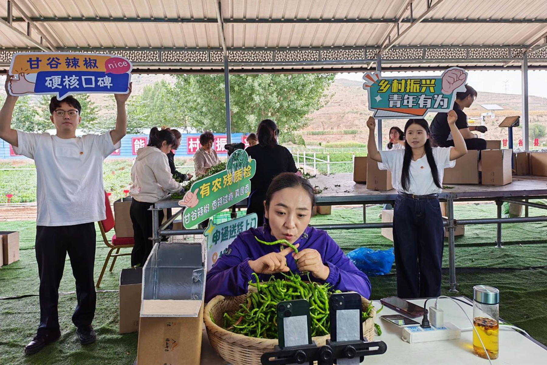 图2-团县委组织返乡大学生志愿者开展甘谷辣椒直播助农活动 图2-团县委组织返乡大学生志愿者开展甘谷辣椒直播助农活动