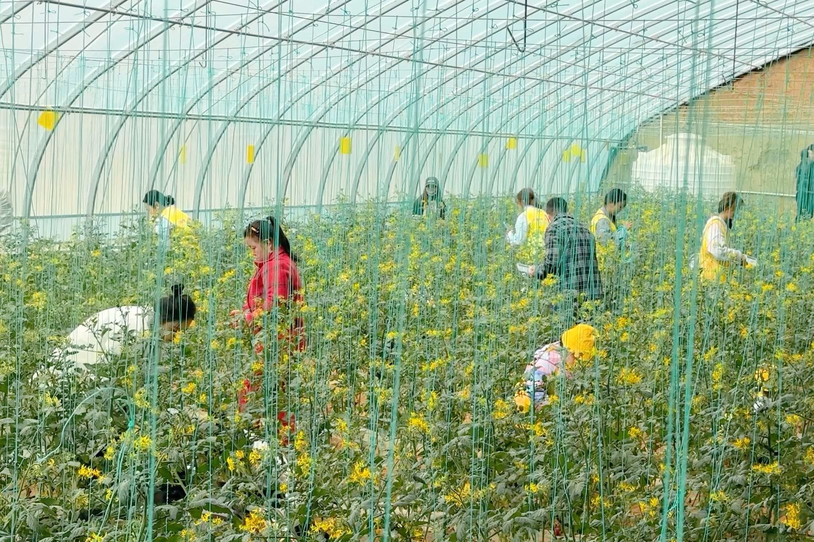 微信图片_20250412154623 微信图片_20250412154623