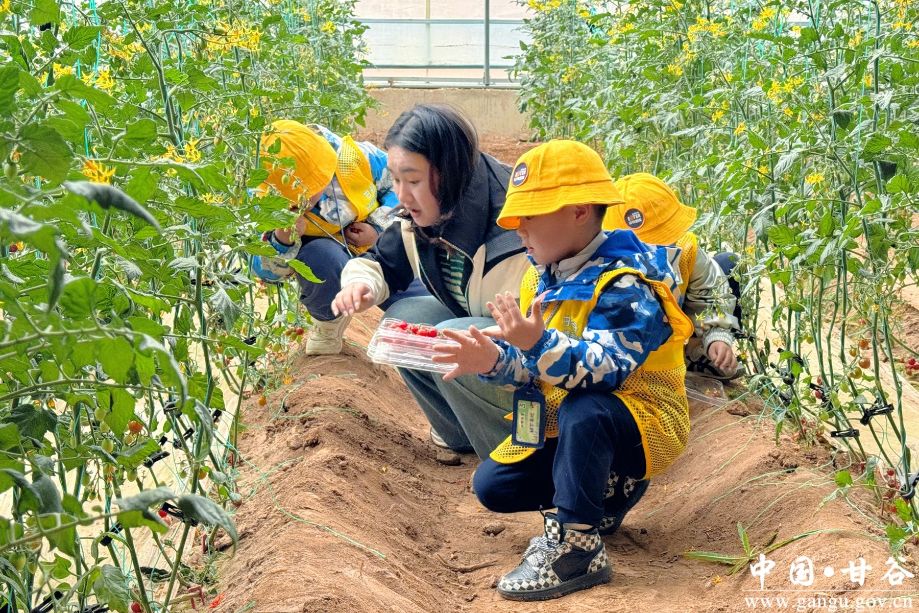 微信图片_20250412154621 微信图片_20250412154621