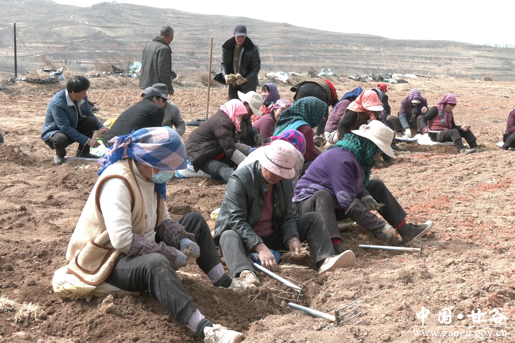 微信图片_20250402152111 微信图片_20250402152111