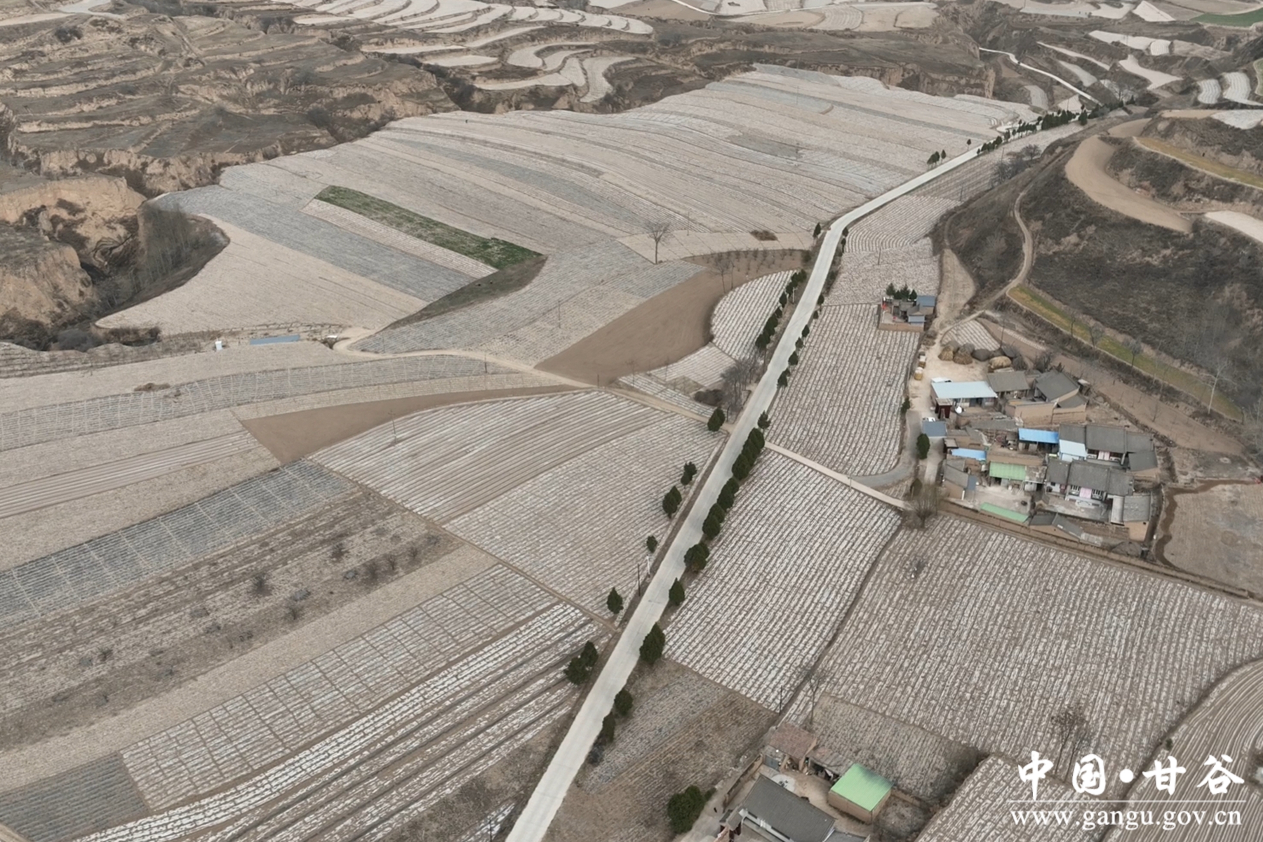 微信图片_20250402152107 微信图片_20250402152107