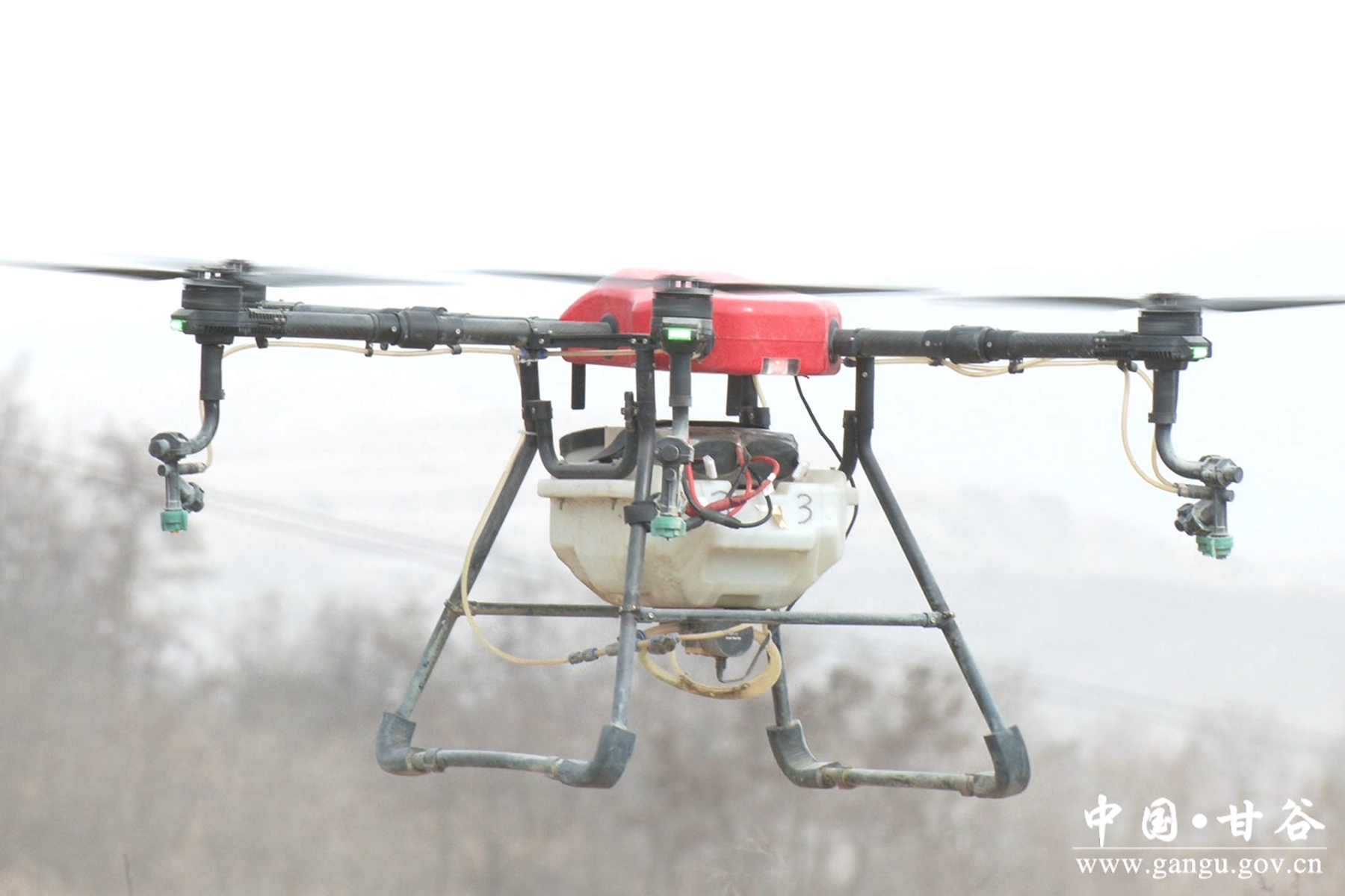 微信图片_20250402152119 微信图片_20250402152119