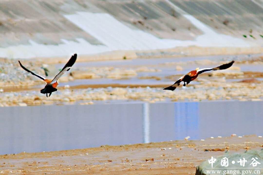 3424DC739DAB66970ECD484DE7F_6BFB2D36_C937