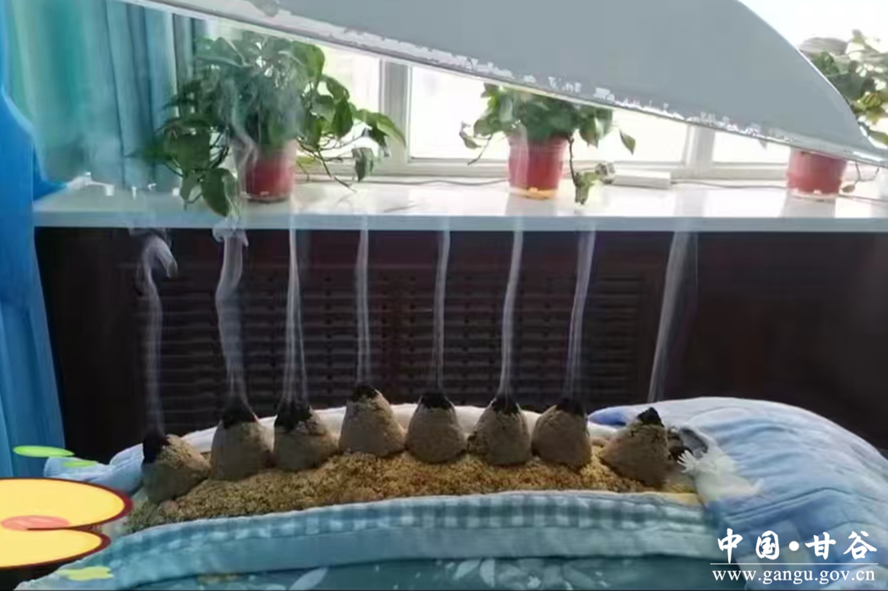 微信图片_20250714104909 微信图片_20250714104909