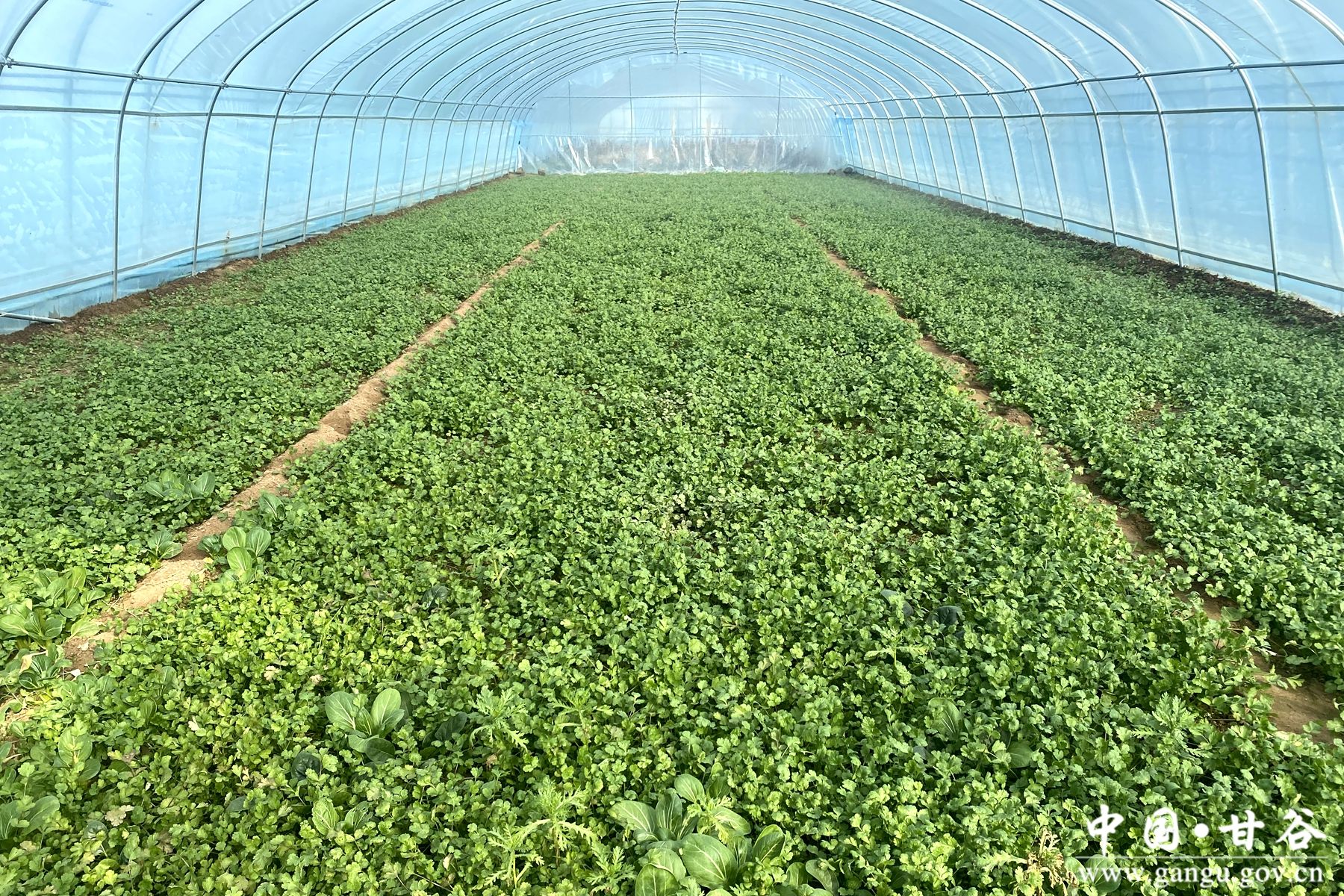 88d7fa38a04e32875c9fa83f84e6eb5c 88d7fa38a04e32875c9fa83f84e6eb5c